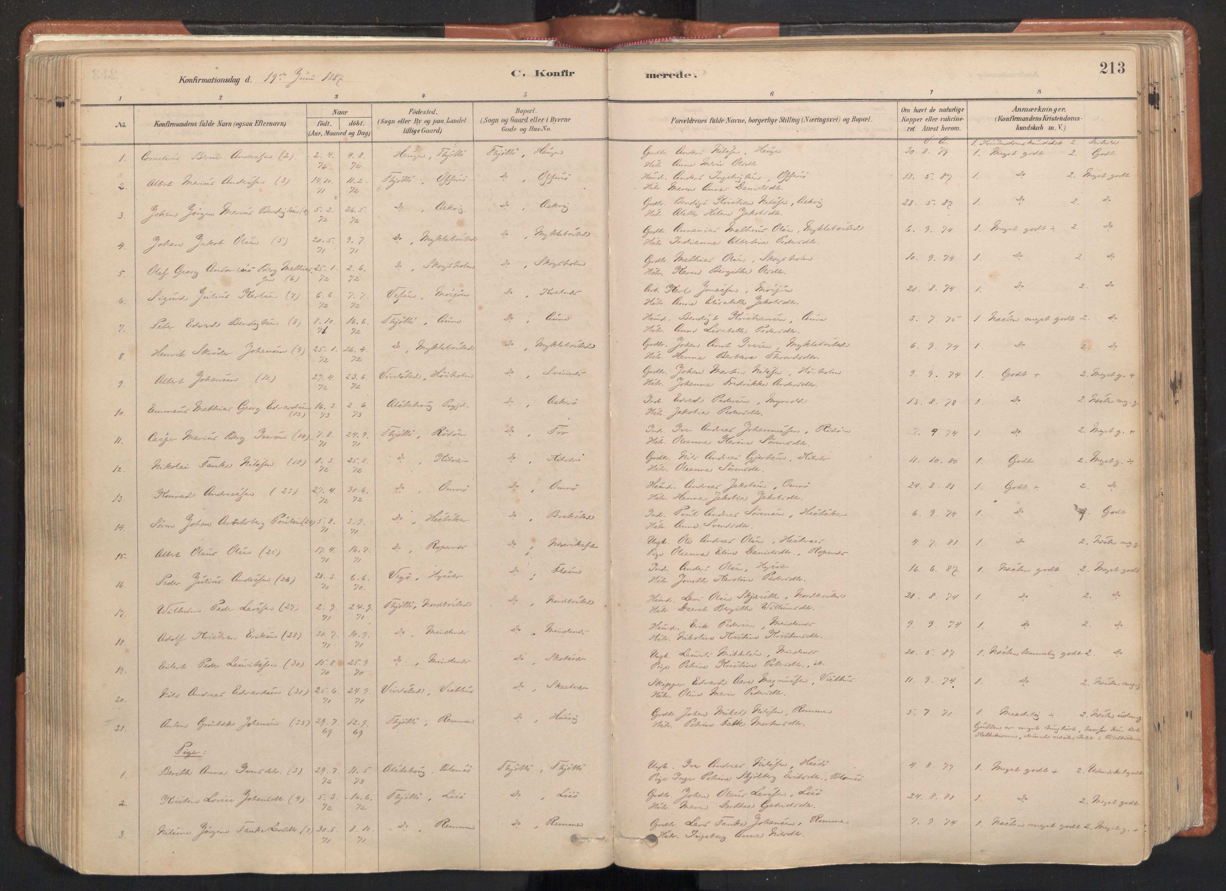 Ministerialprotokoller, klokkerbøker og fødselsregistre - Nordland, AV/SAT-A-1459/817/L0264: Parish register (official) no. 817A04, 1878-1907, p. 213