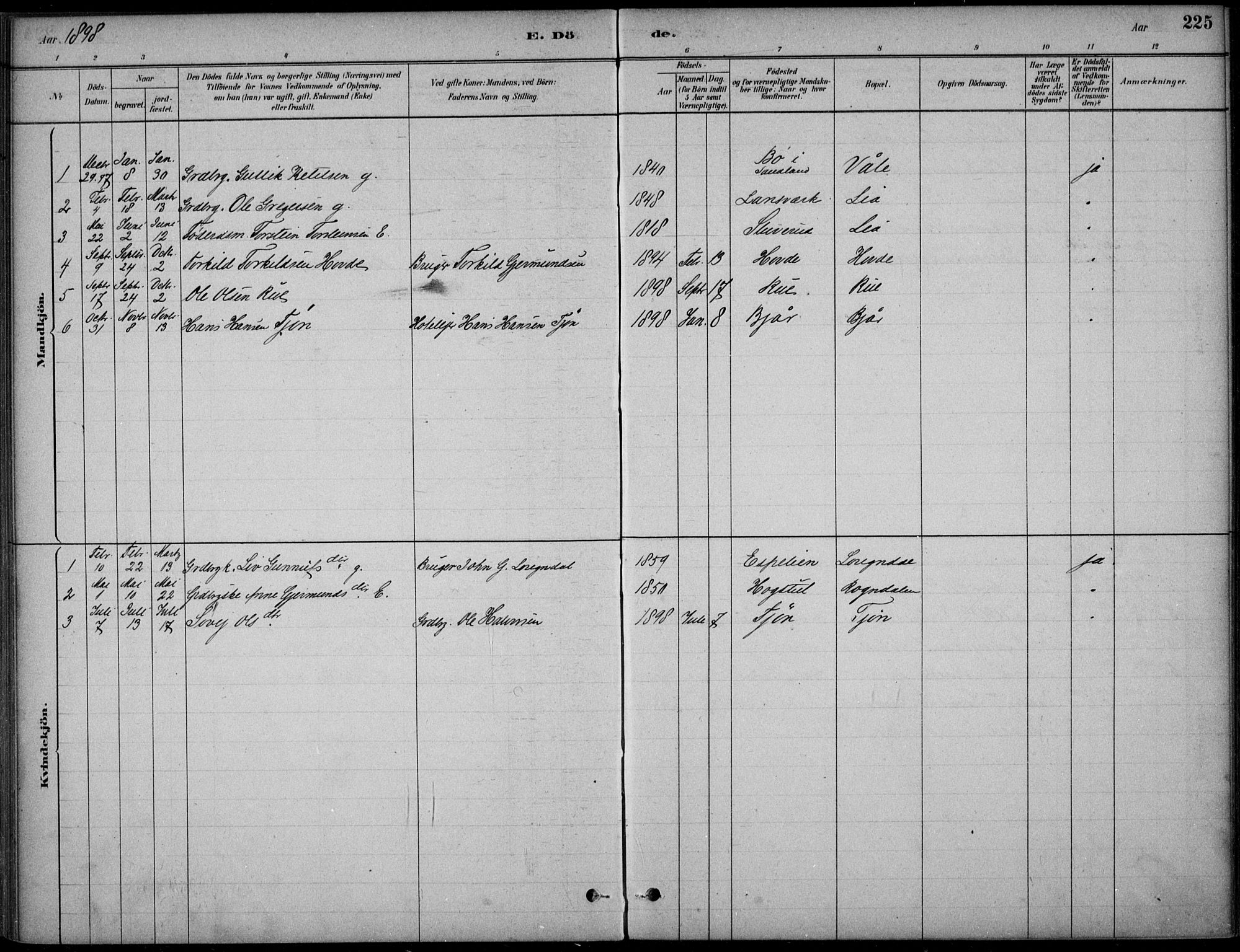 Hjartdal kirkebøker, SAKO/A-270/F/Fc/L0002: Parish register (official) no. III 2, 1880-1936, p. 225
