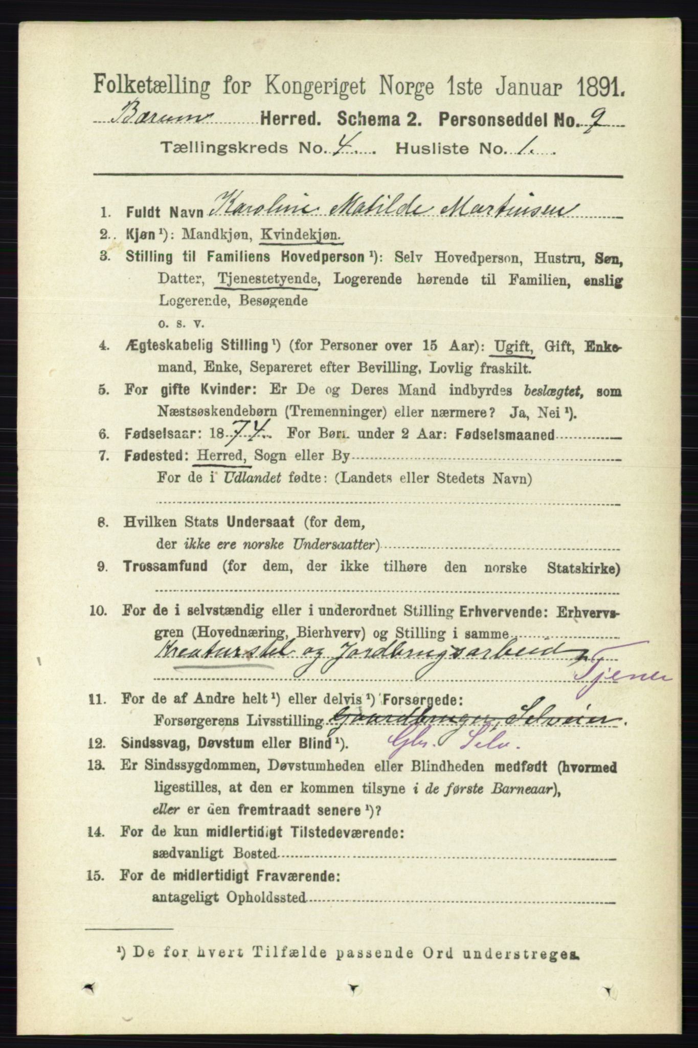 RA, 1891 census for 0219 Bærum, 1891, p. 2494