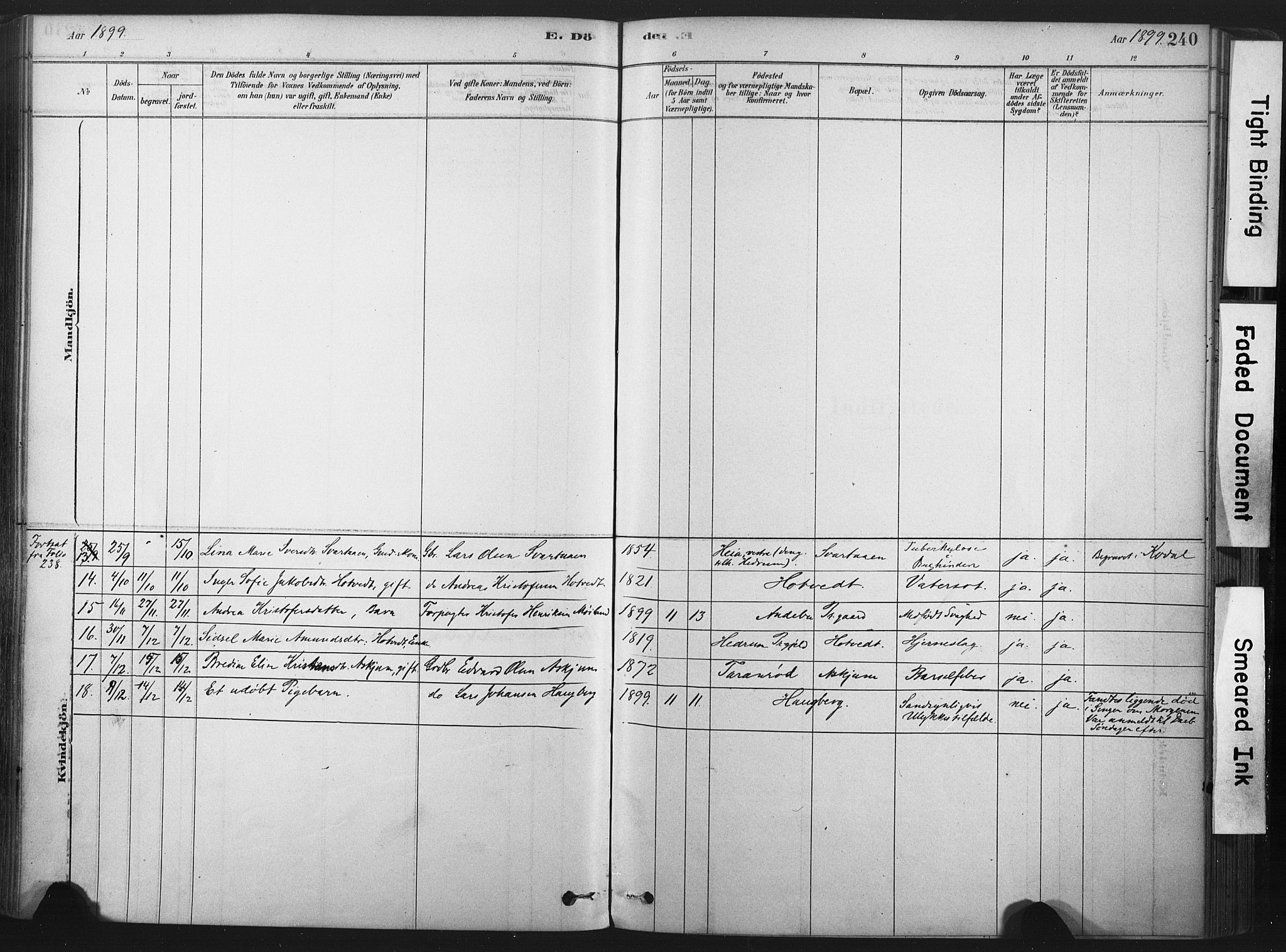 Andebu kirkebøker, AV/SAKO-A-336/F/Fa/L0007: Parish register (official) no. 7, 1878-1899, p. 240