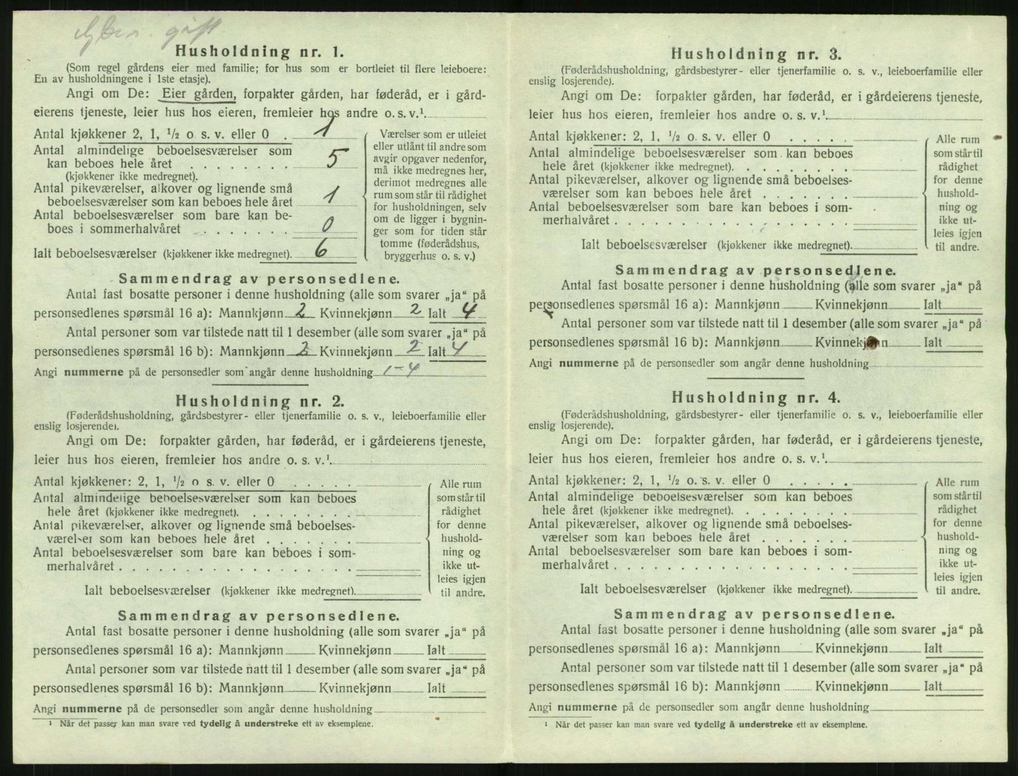 SAT, 1920 census for Borge, 1920, p. 786