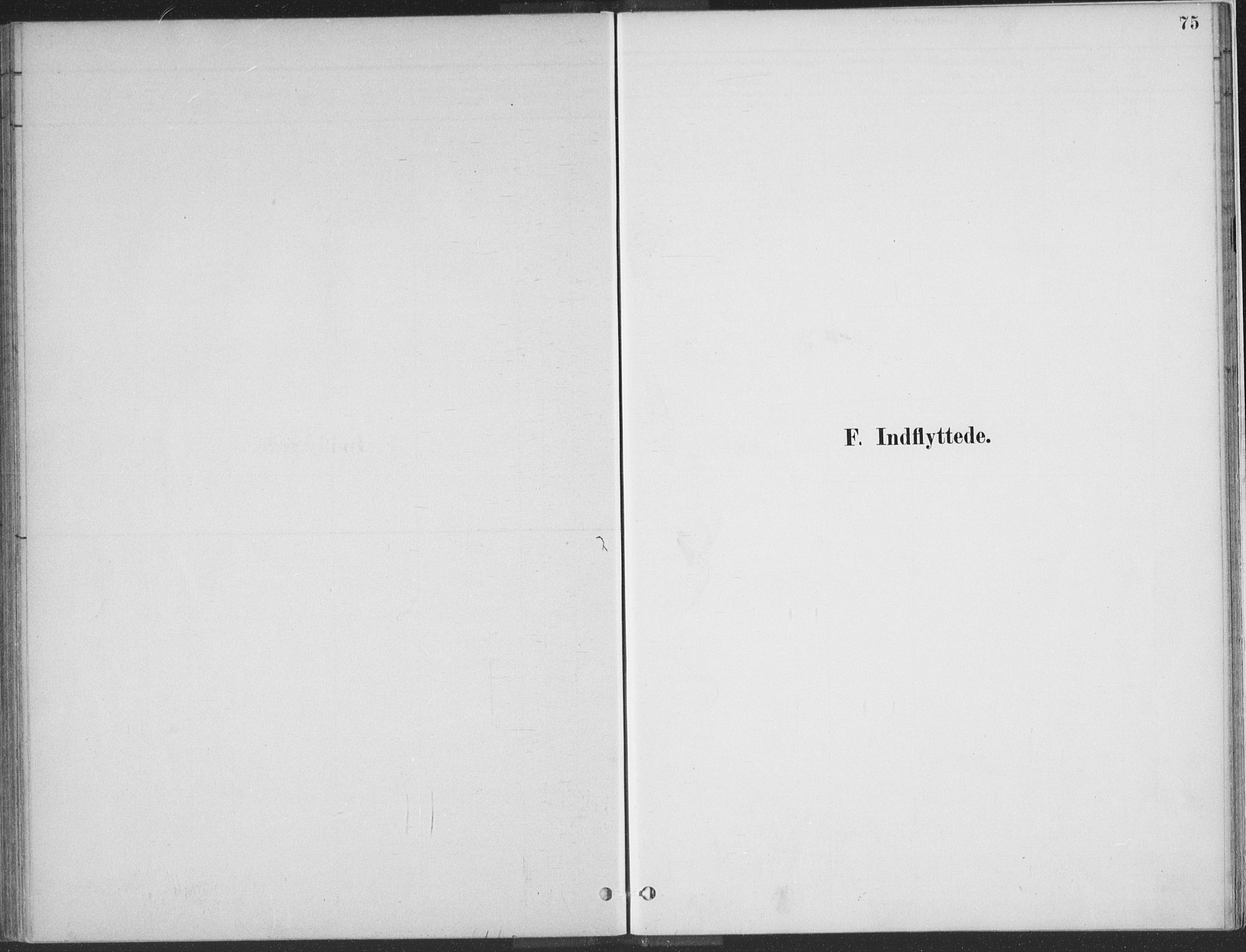 Kvinesdal sokneprestkontor, AV/SAK-1111-0026/F/Fa/Faa/L0004: Parish register (official) no. A 4, 1882-1897, p. 75