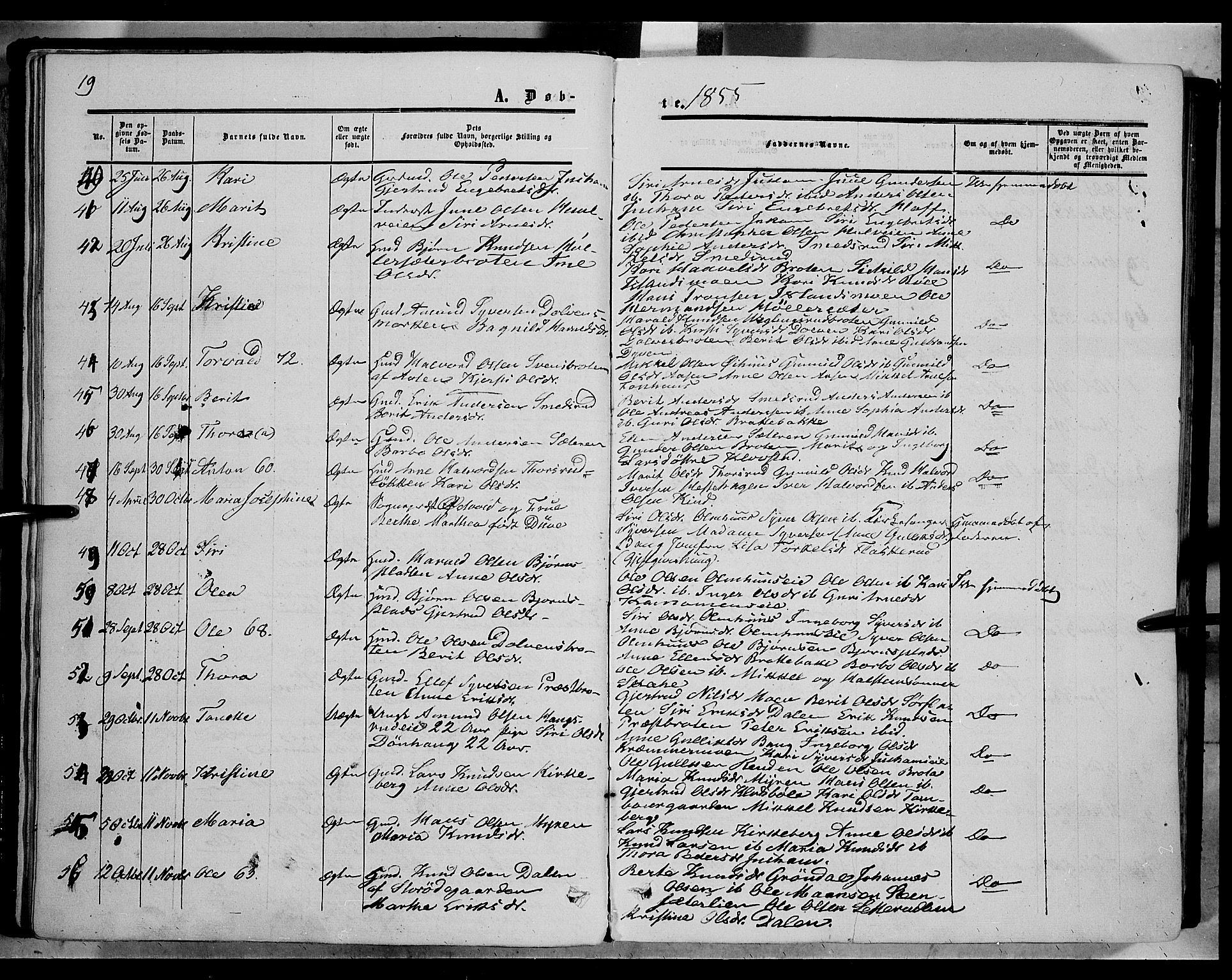Sør-Aurdal prestekontor, AV/SAH-PREST-128/H/Ha/Haa/L0005: Parish register (official) no. 5, 1849-1876, p. 19