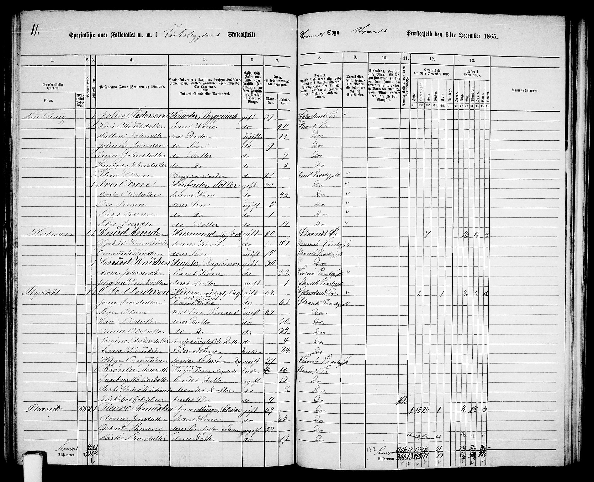 RA, 1865 census for Strand, 1865, p. 50