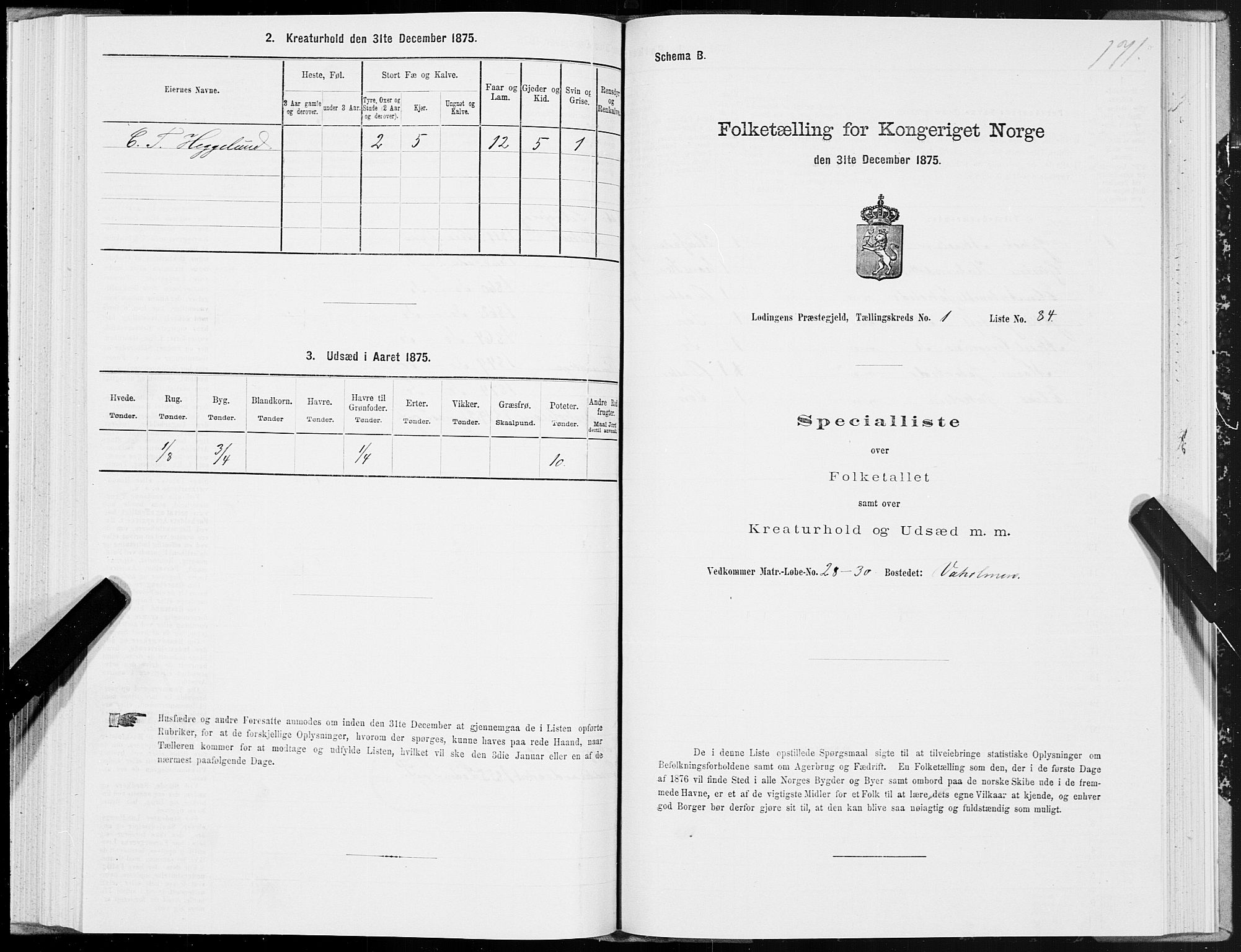 SAT, 1875 census for 1851P Lødingen, 1875, p. 1171