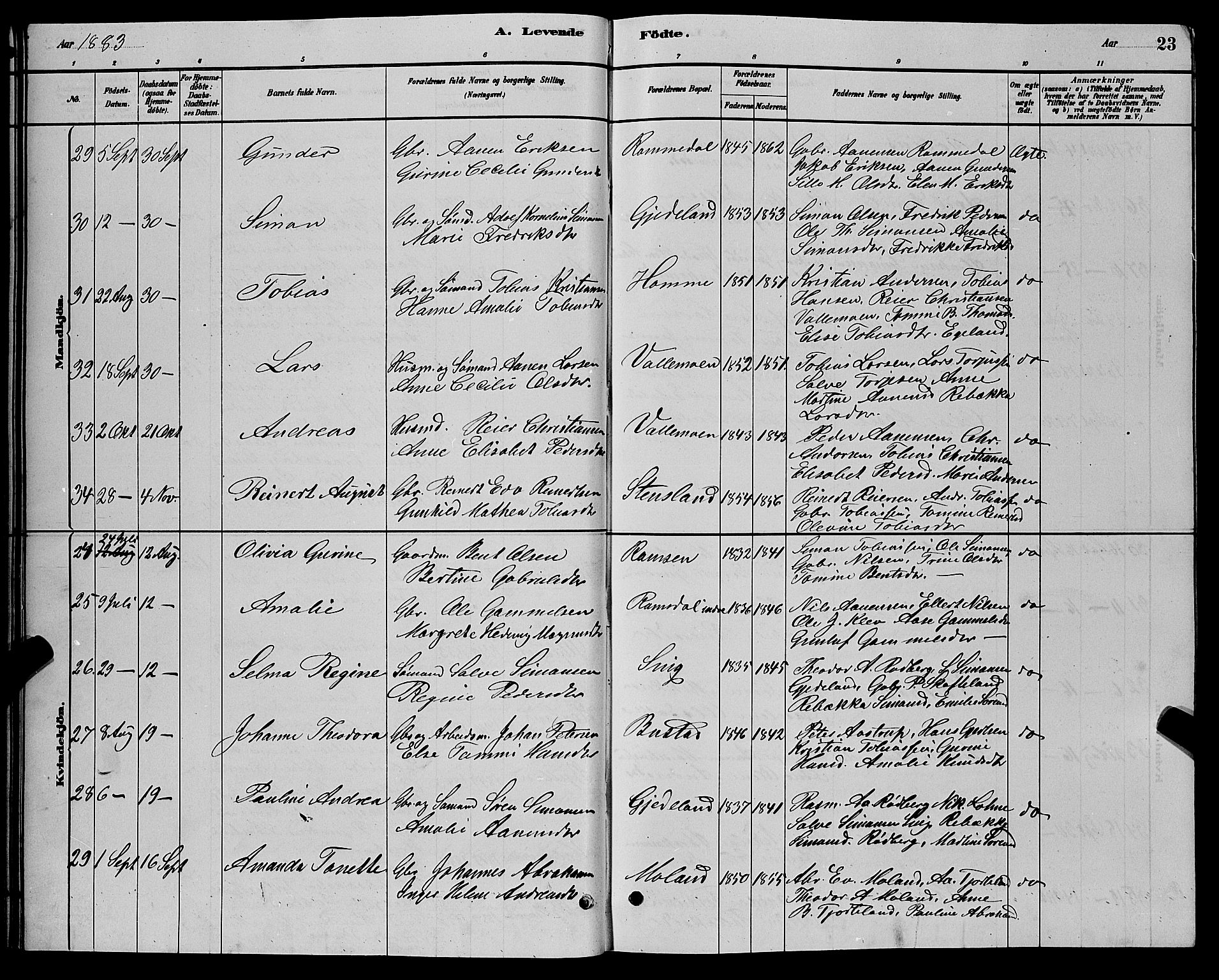 Sør-Audnedal sokneprestkontor, AV/SAK-1111-0039/F/Fb/Fbb/L0005: Parish register (copy) no. B 5, 1880-1892, p. 23