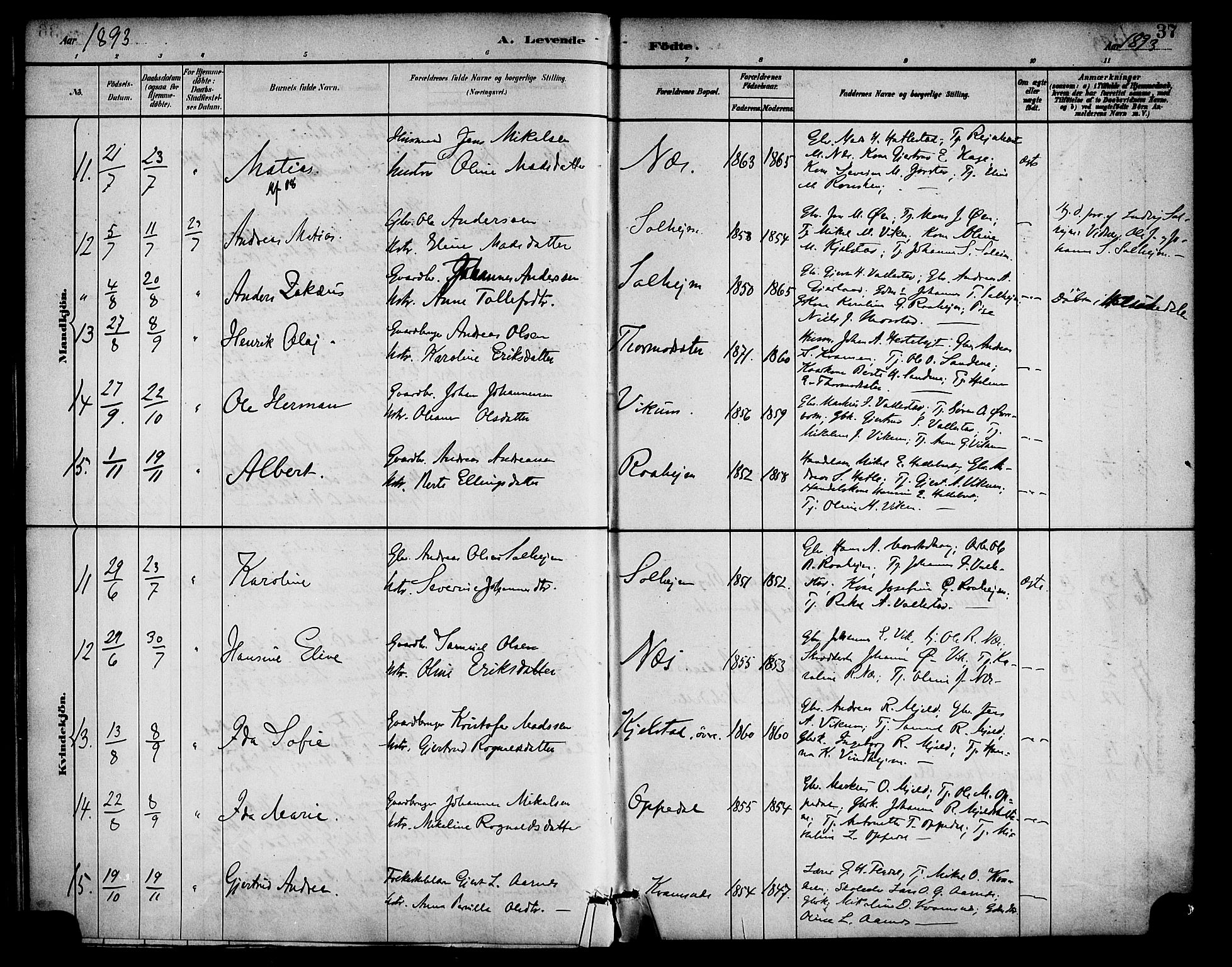 Gaular sokneprestembete, AV/SAB-A-80001/H/Haa: Parish register (official) no. D 1, 1882-1899, p. 37