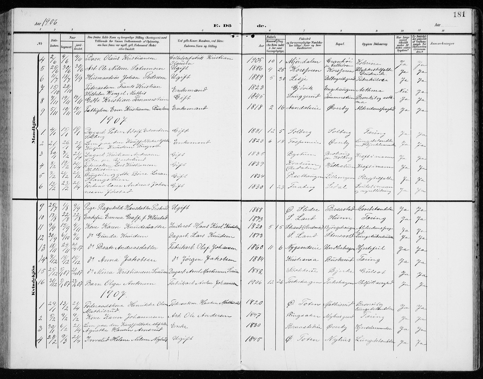 Vardal prestekontor, SAH/PREST-100/H/Ha/Haa/L0016: Parish register (official) no. 16, 1904-1916, p. 181