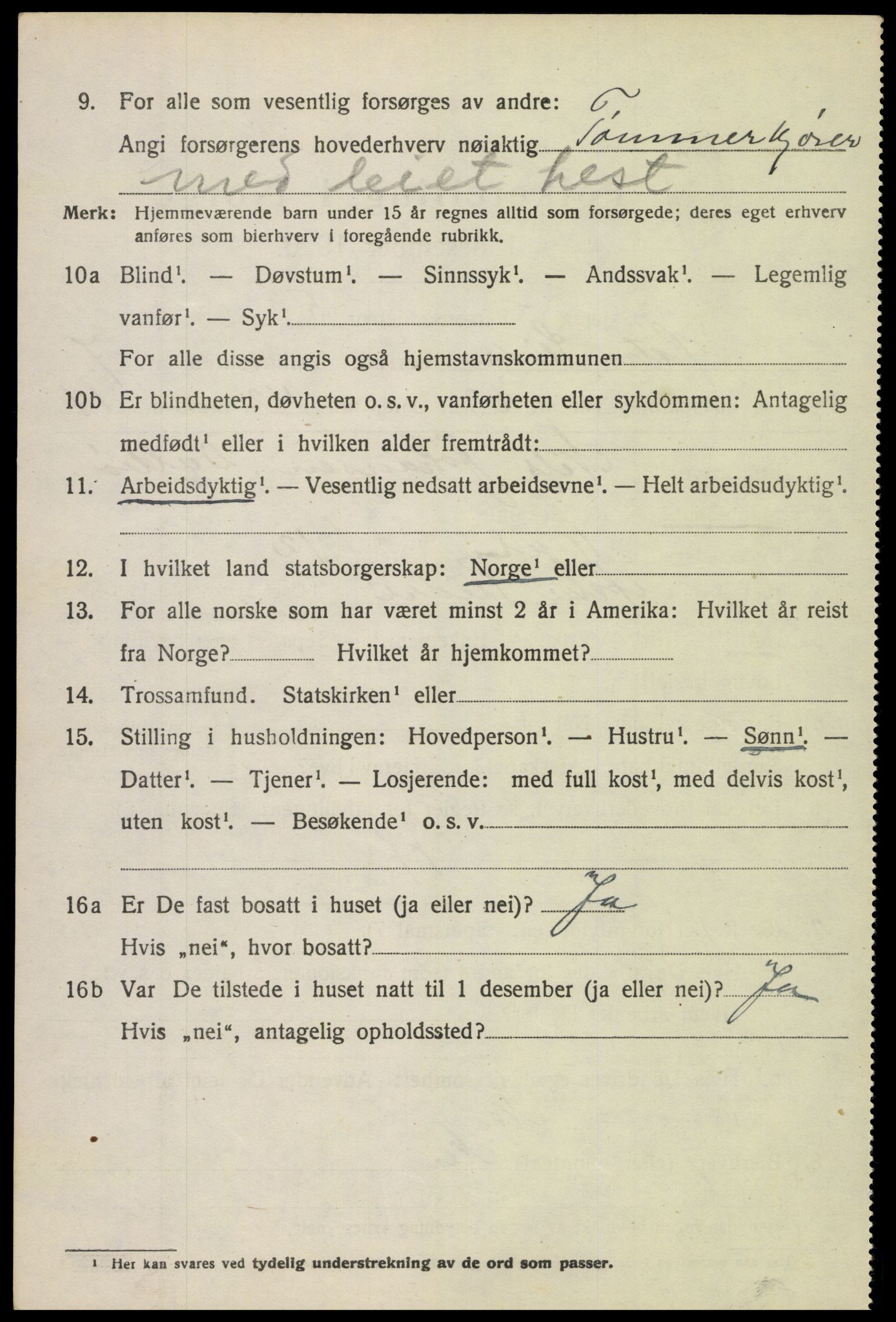 SAH, 1920 census for Øystre Slidre, 1920, p. 4756