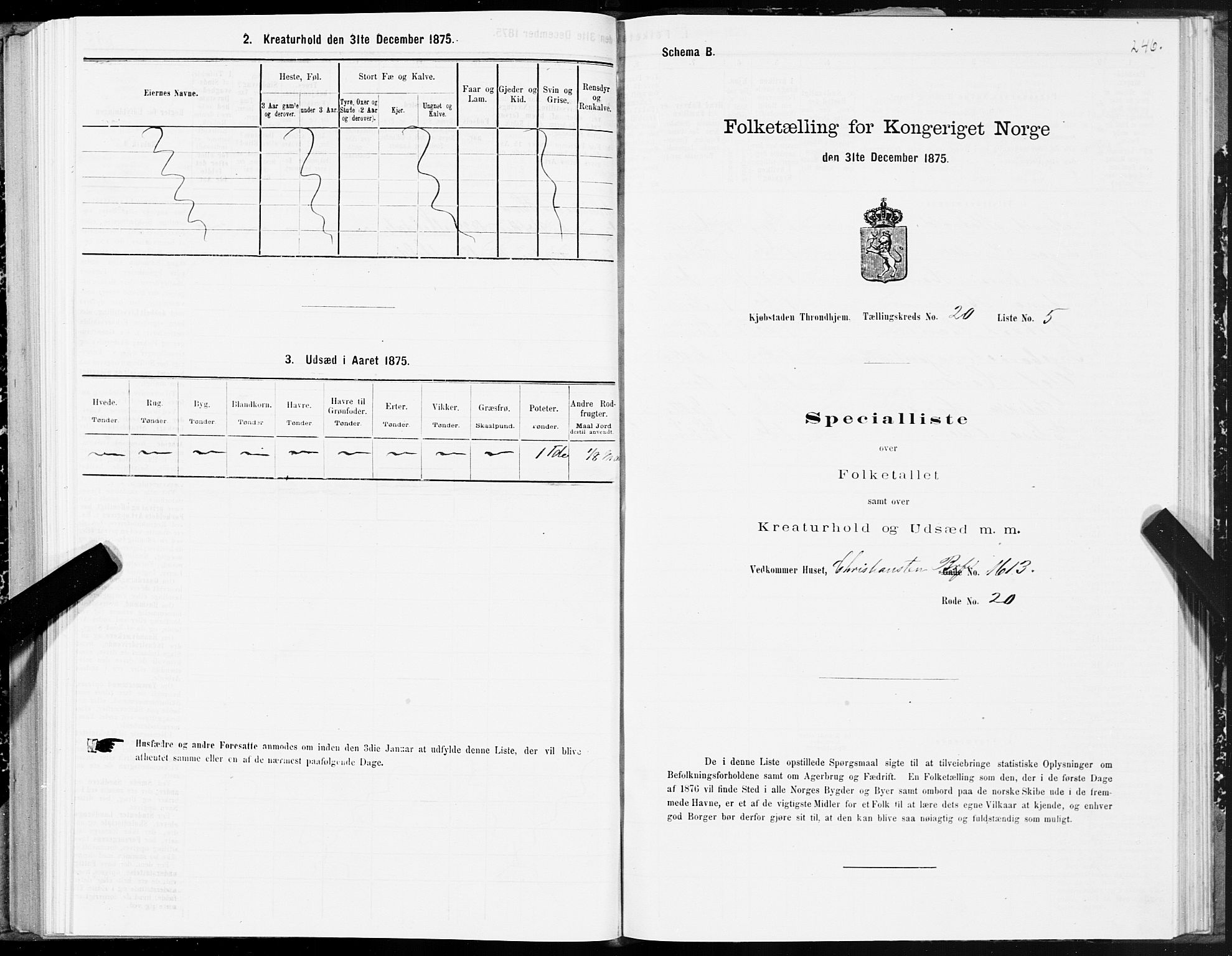 SAT, 1875 census for 1601 Trondheim, 1875, p. 10246