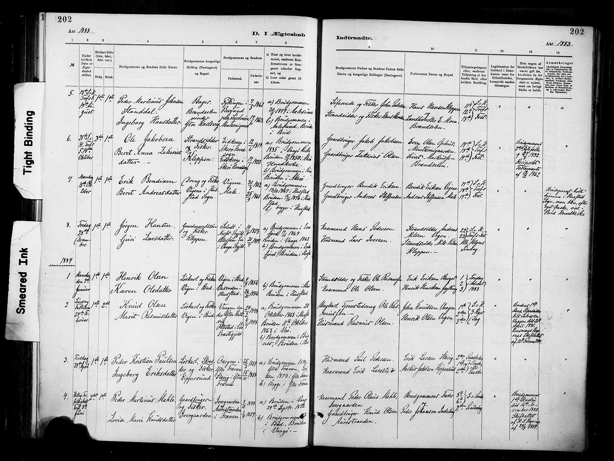 Ministerialprotokoller, klokkerbøker og fødselsregistre - Møre og Romsdal, SAT/A-1454/566/L0769: Parish register (official) no. 566A08, 1881-1903, p. 202