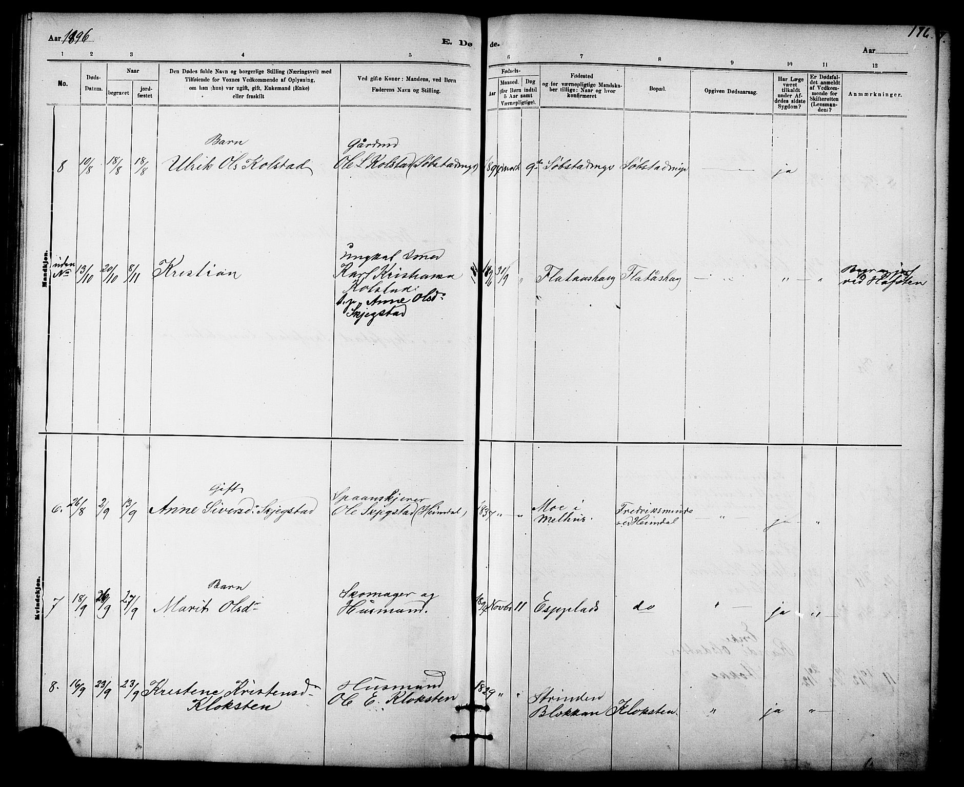 Ministerialprotokoller, klokkerbøker og fødselsregistre - Sør-Trøndelag, AV/SAT-A-1456/613/L0395: Parish register (copy) no. 613C03, 1887-1909, p. 176