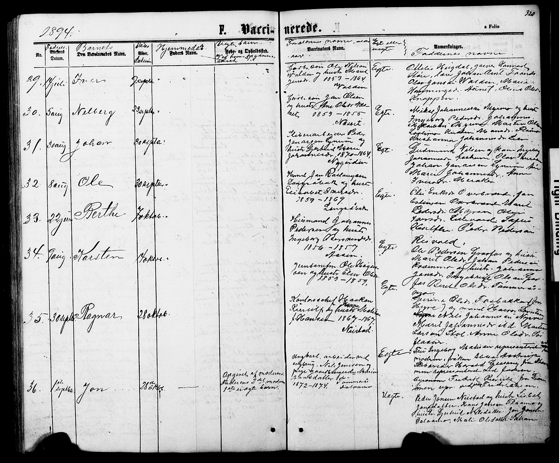 Ministerialprotokoller, klokkerbøker og fødselsregistre - Nord-Trøndelag, AV/SAT-A-1458/706/L0049: Parish register (copy) no. 706C01, 1864-1895, p. 320