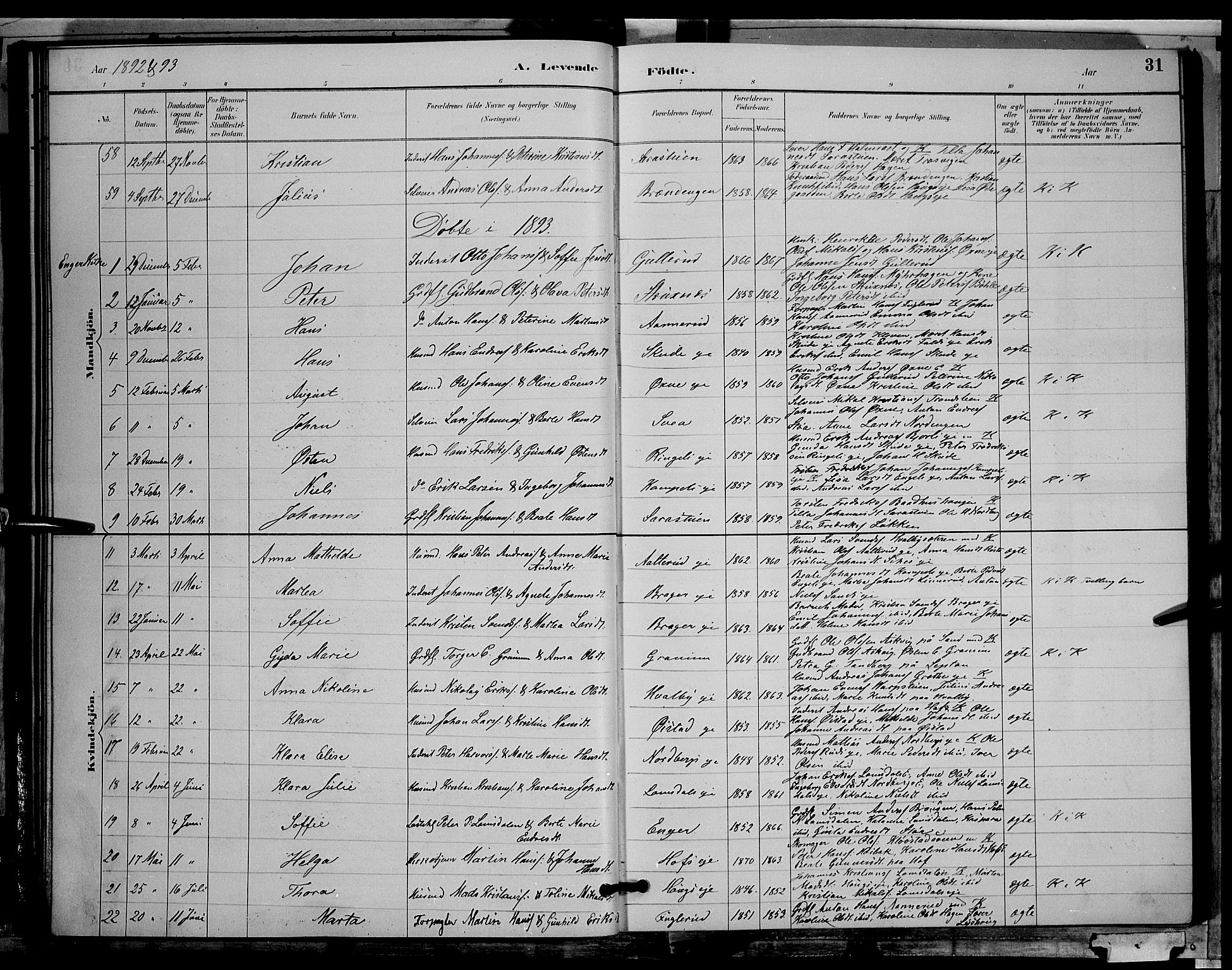 Søndre Land prestekontor, AV/SAH-PREST-122/L/L0002: Parish register (copy) no. 2, 1884-1900, p. 31