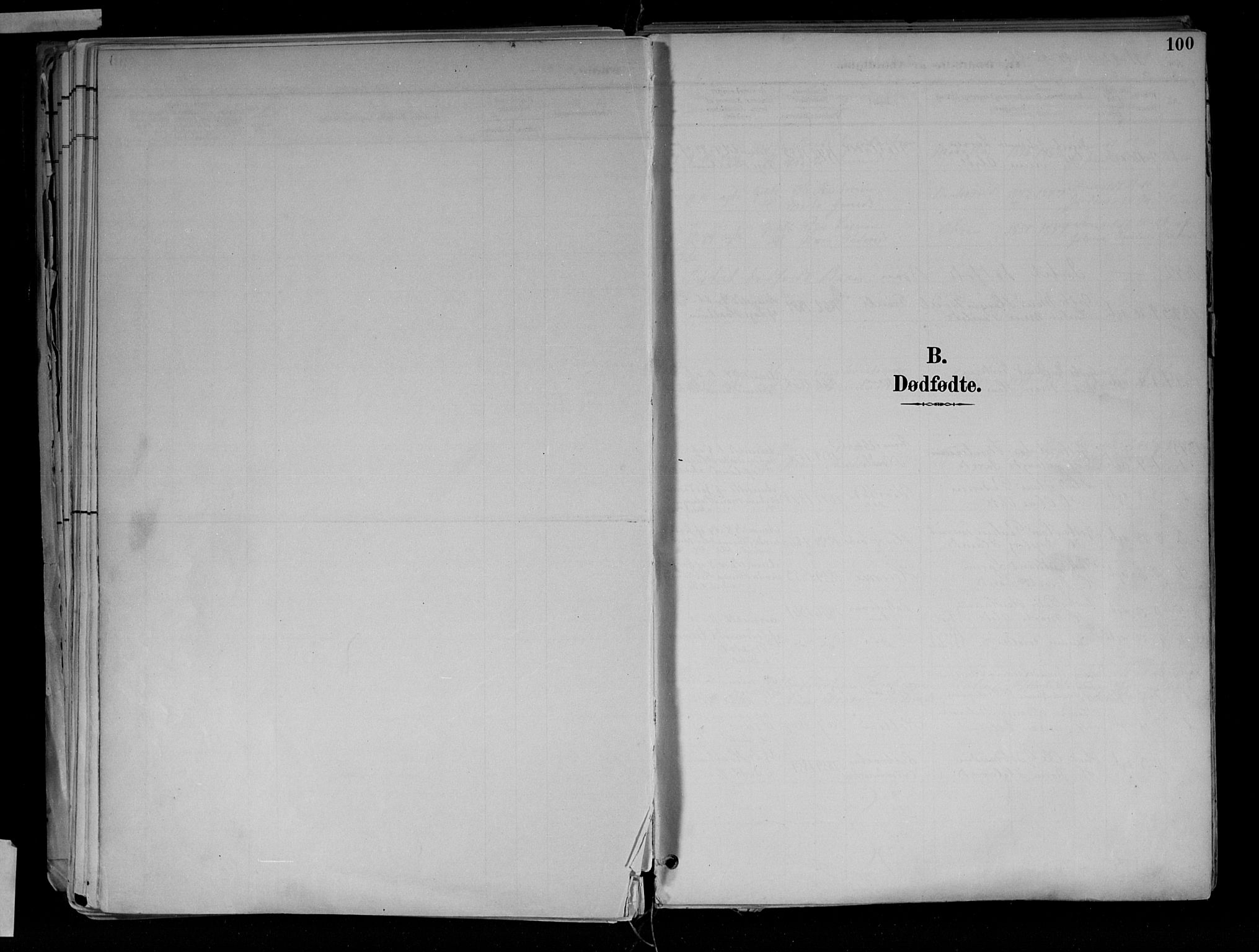 Jevnaker prestekontor, AV/SAH-PREST-116/H/Ha/Haa/L0010: Parish register (official) no. 10, 1891-1906, p. 100