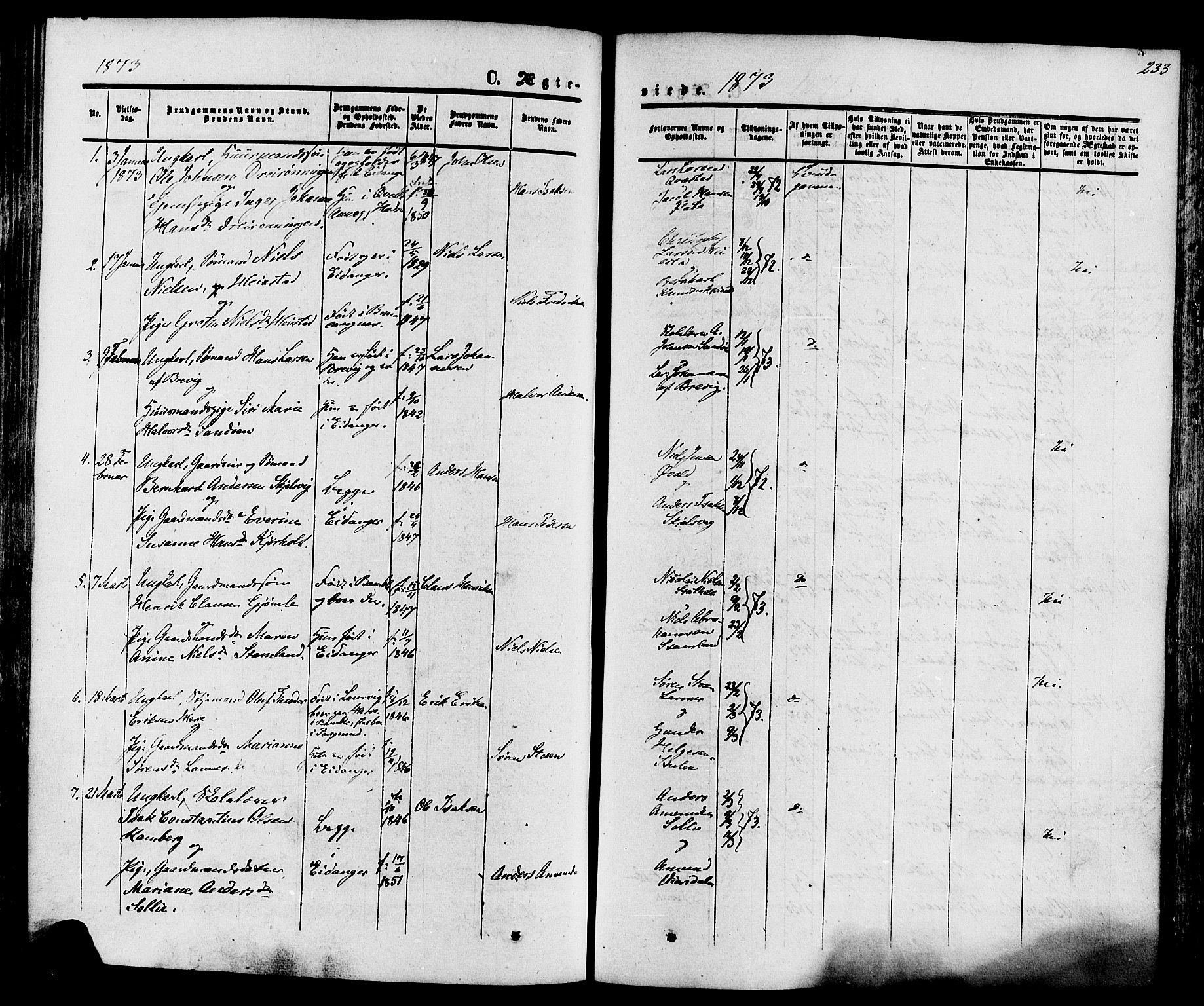 Eidanger kirkebøker, SAKO/A-261/F/Fa/L0010: Parish register (official) no. 10, 1859-1874, p. 233