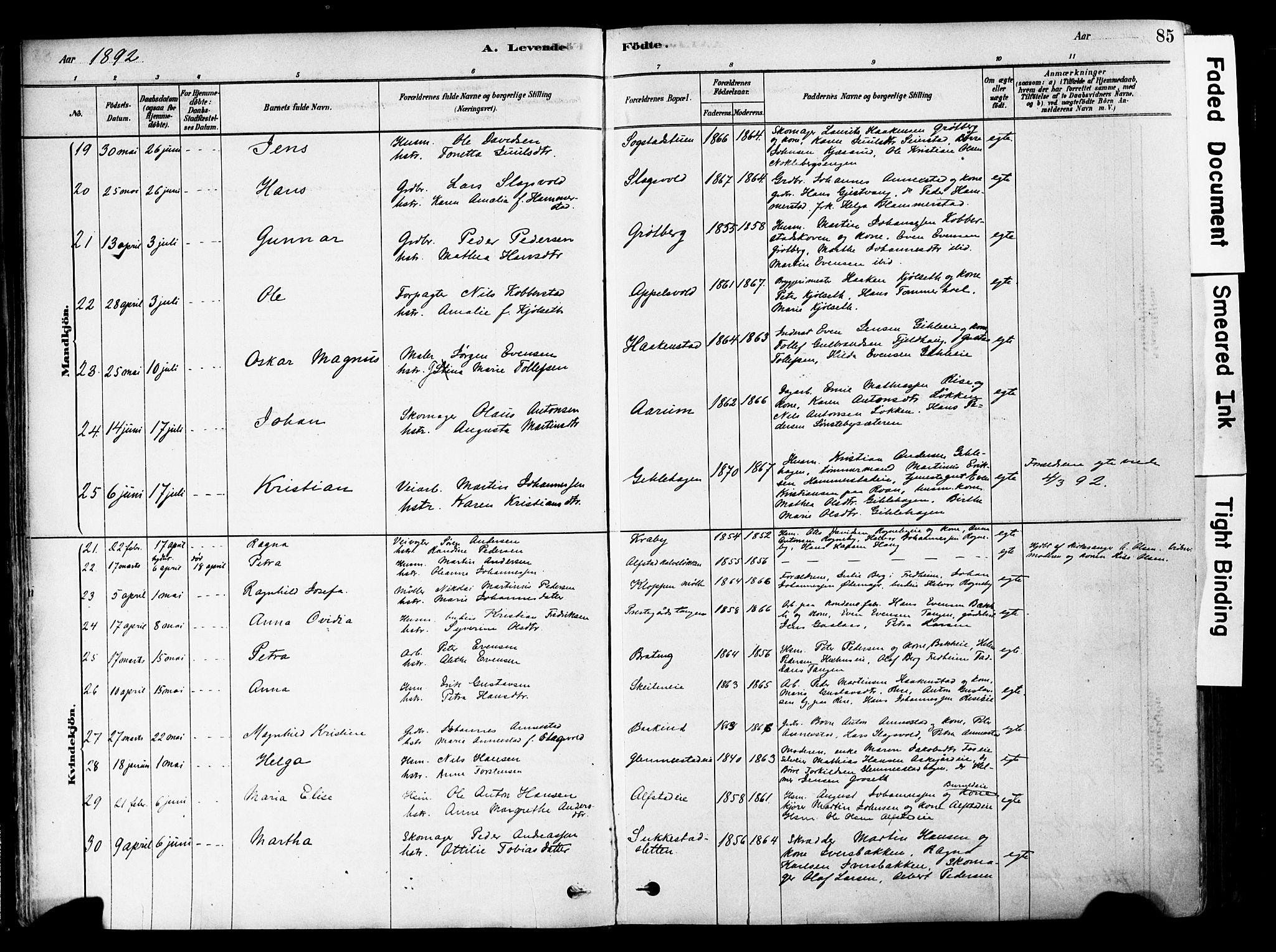 Østre Toten prestekontor, AV/SAH-PREST-104/H/Ha/Haa/L0006: Parish register (official) no. 6 /1, 1878-1896, p. 85