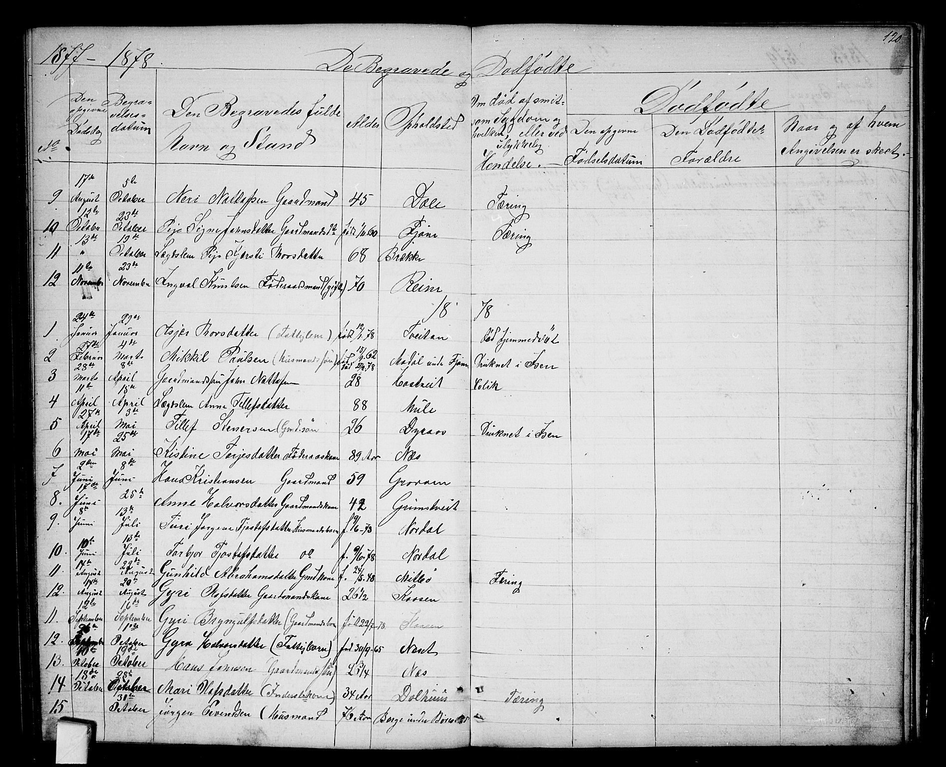 Nissedal kirkebøker, SAKO/A-288/G/Ga/L0002: Parish register (copy) no. I 2, 1861-1887, p. 120