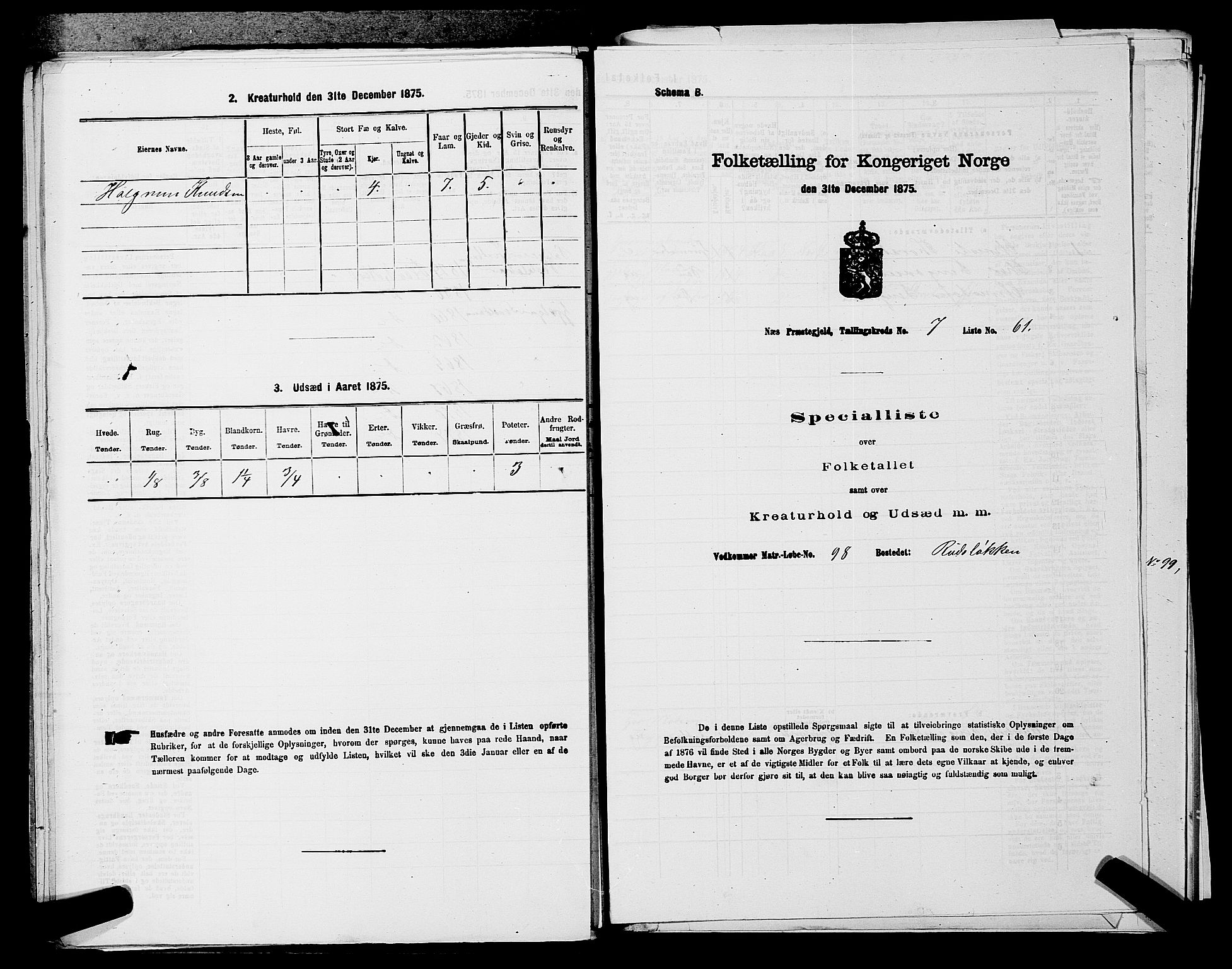 SAKO, 1875 census for 0616P Nes, 1875, p. 1315