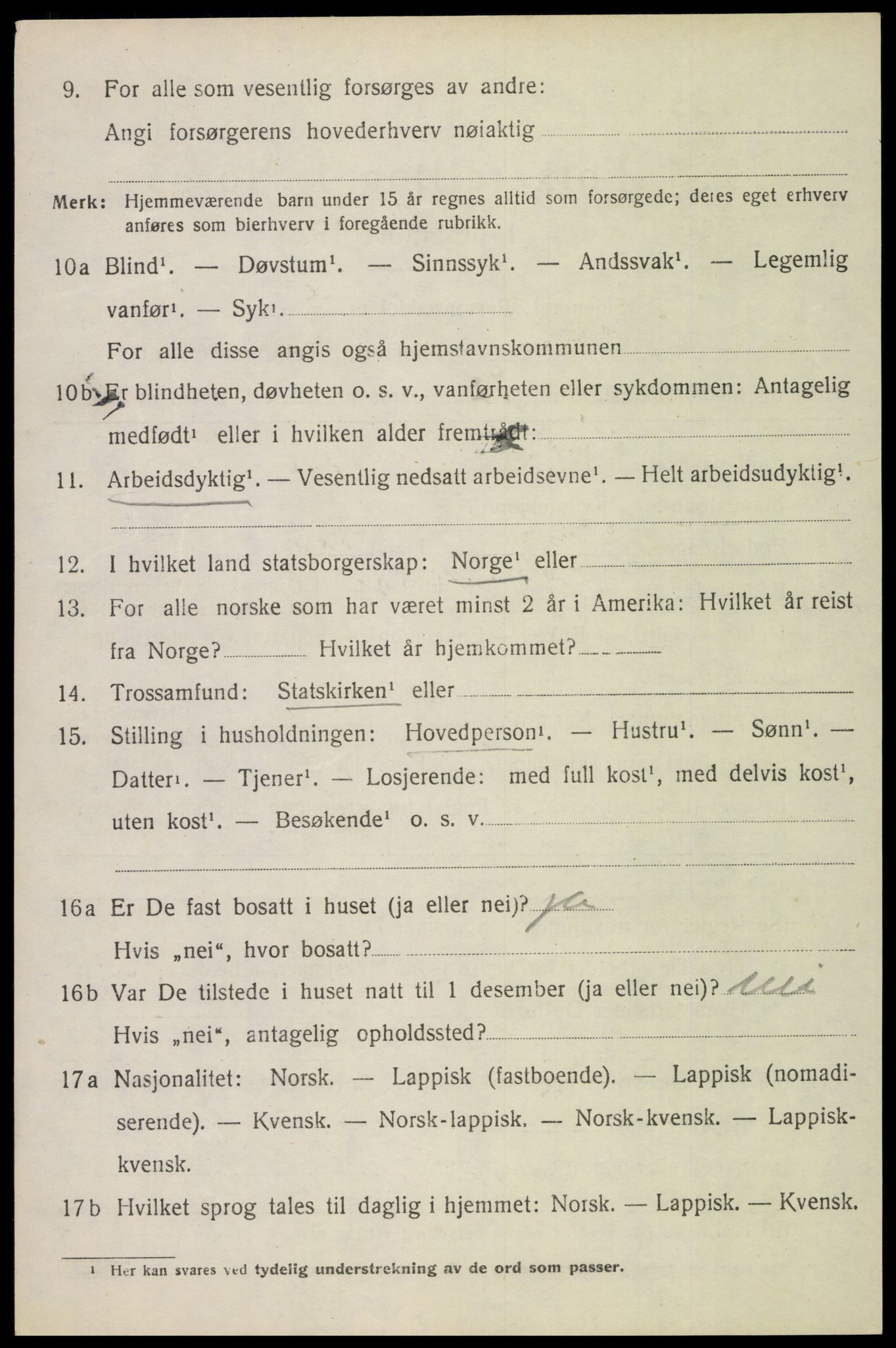 SAT, 1920 census for Borge, 1920, p. 4104