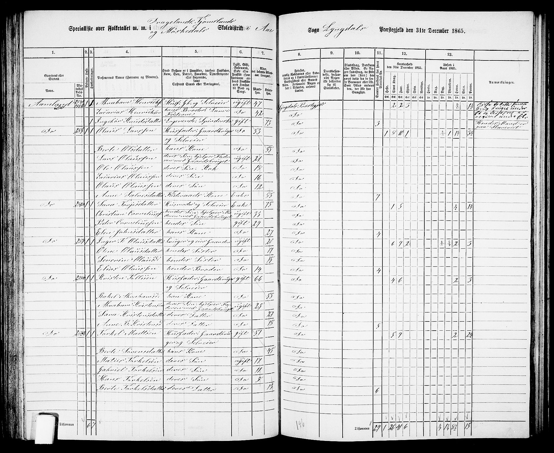 RA, 1865 census for Lyngdal, 1865, p. 134