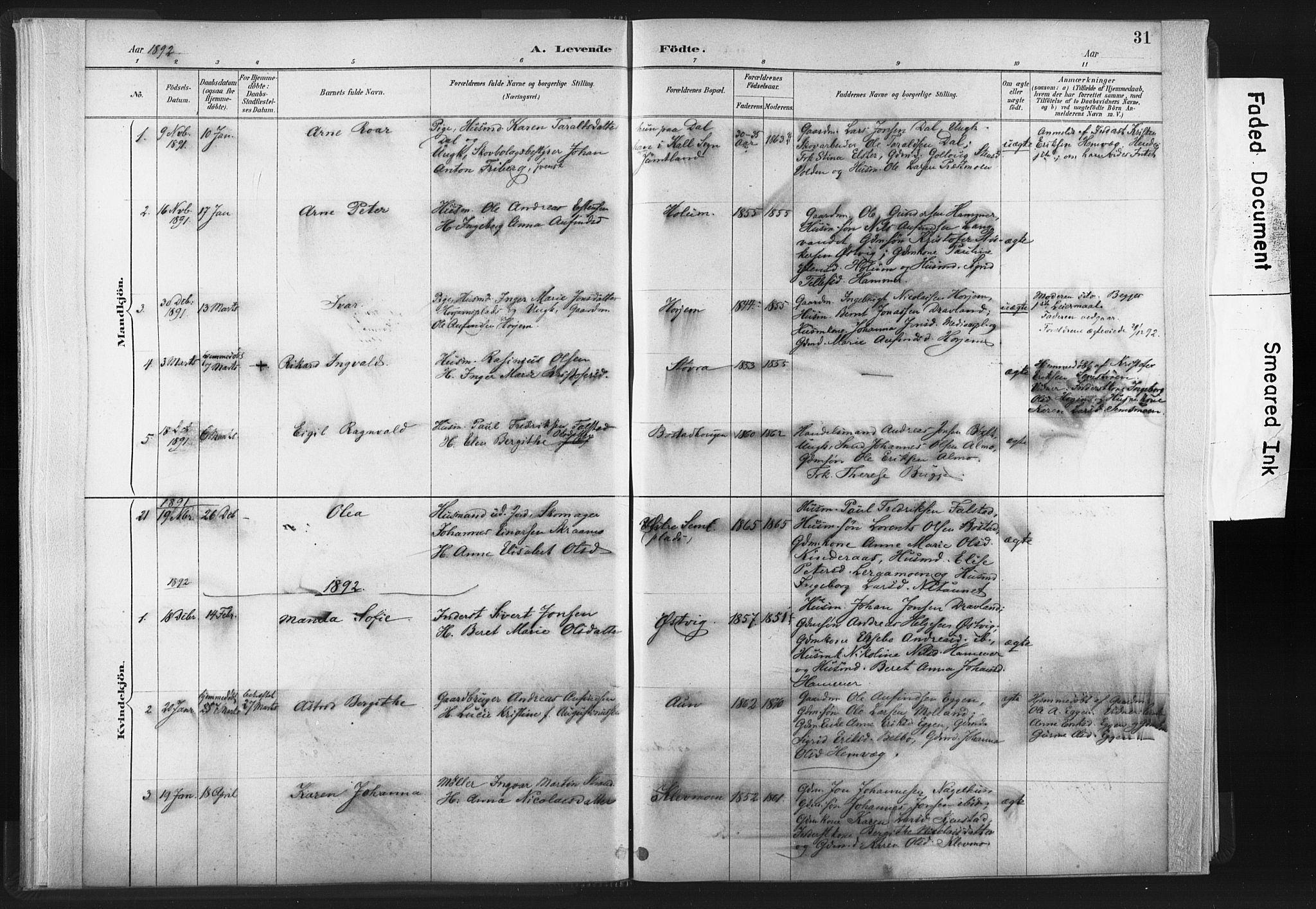 Ministerialprotokoller, klokkerbøker og fødselsregistre - Nord-Trøndelag, AV/SAT-A-1458/749/L0474: Parish register (official) no. 749A08, 1887-1903, p. 31