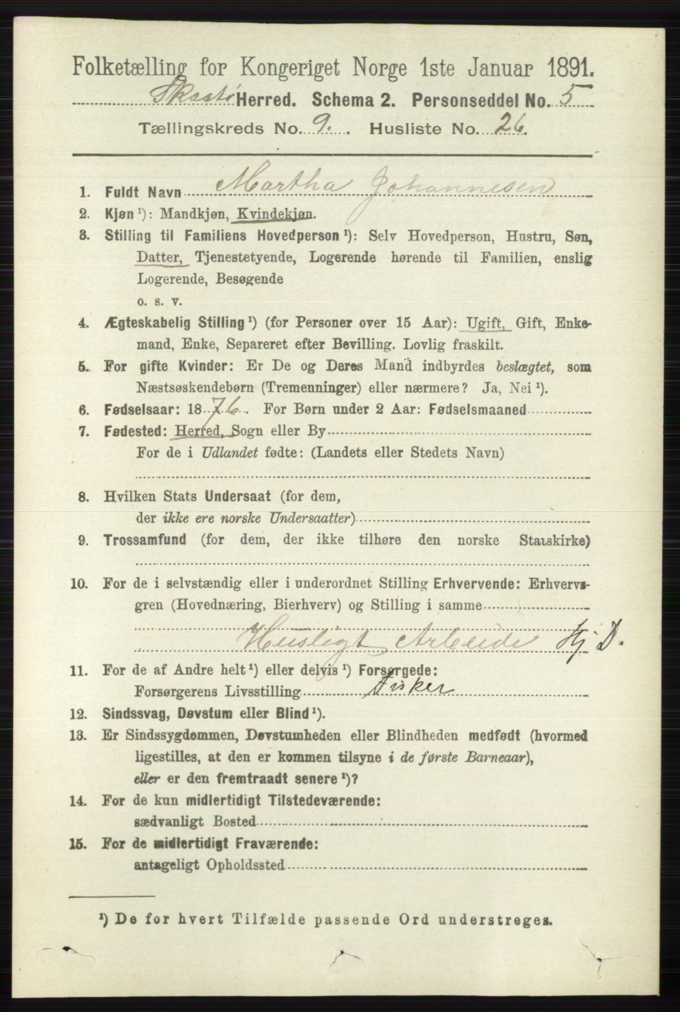 RA, 1891 census for 0815 Skåtøy, 1891, p. 4006