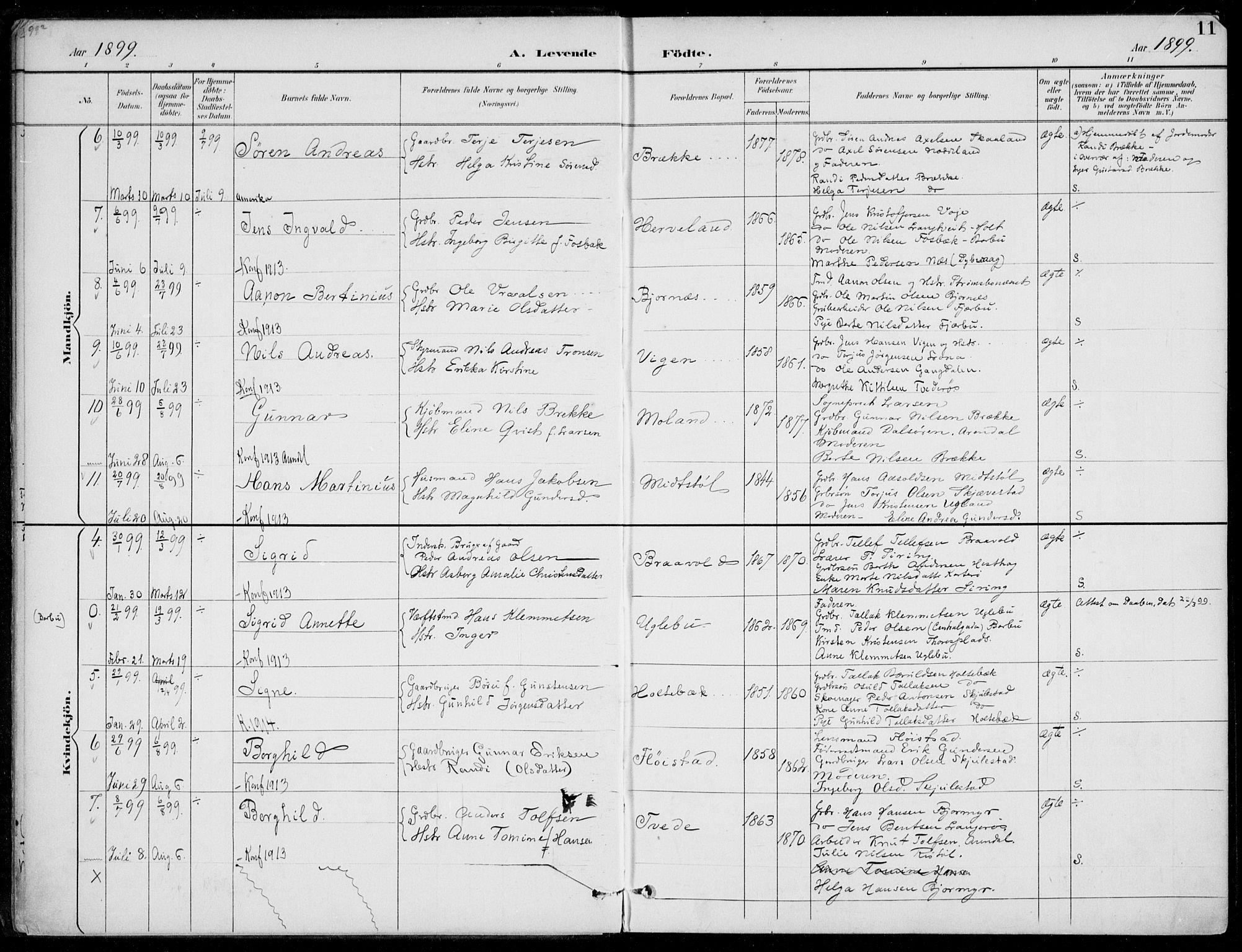 Austre Moland sokneprestkontor, AV/SAK-1111-0001/F/Fa/Faa/L0011: Parish register (official) no. A 11, 1894-1915, p. 11