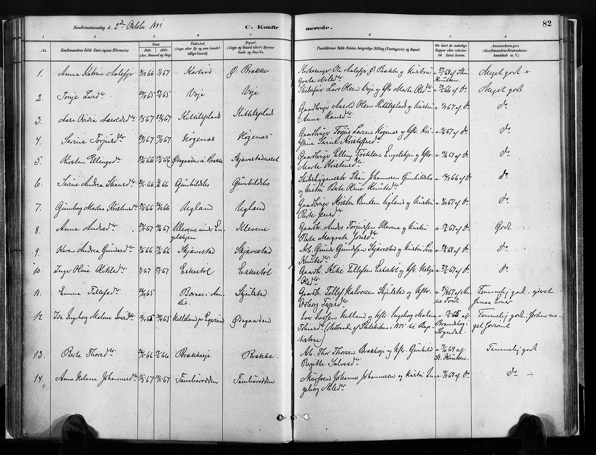 Austre Moland sokneprestkontor, SAK/1111-0001/F/Fa/Faa/L0010: Parish register (official) no. A 10, 1880-1904, p. 82