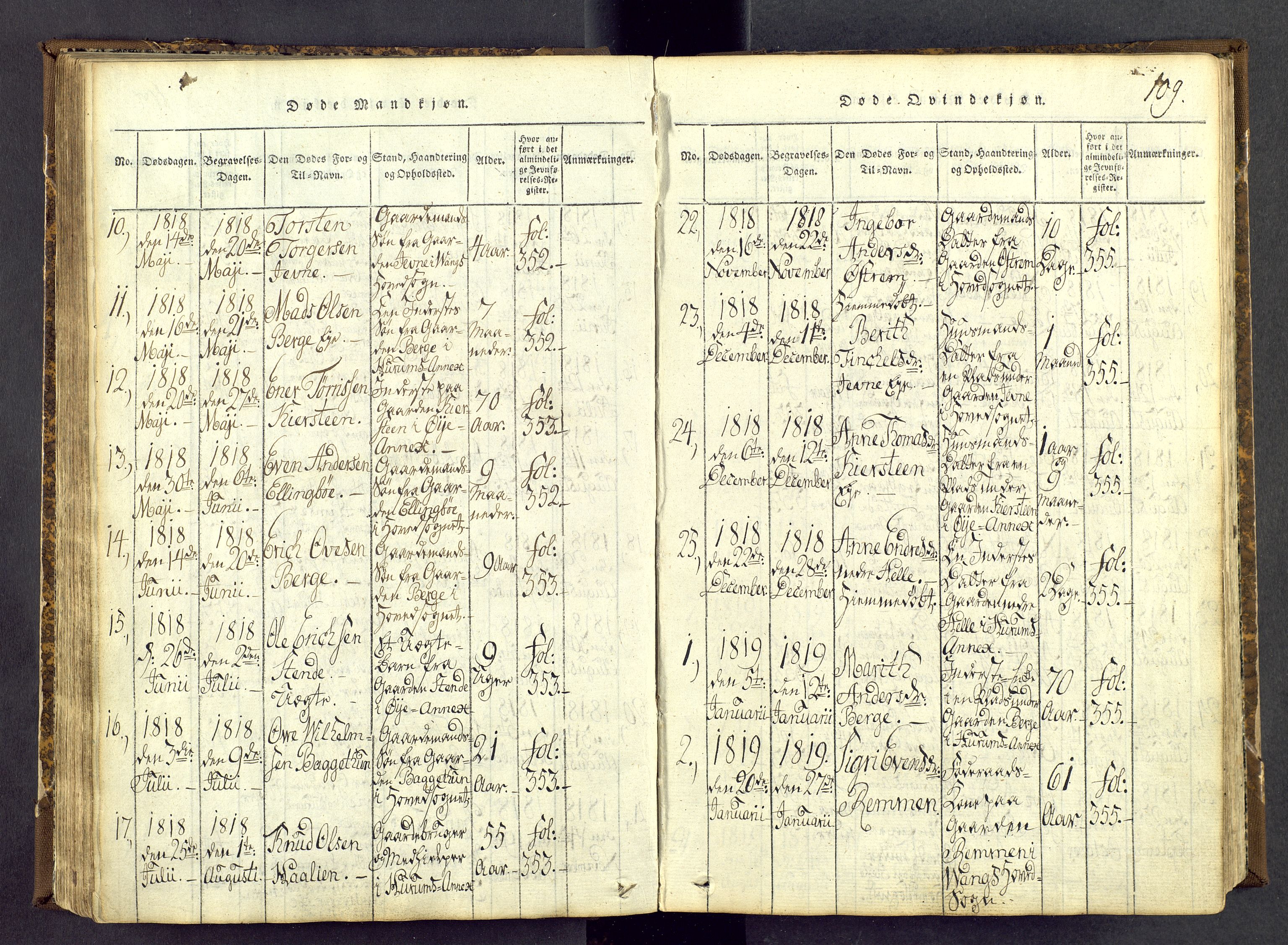 Vang prestekontor, Valdres, SAH/PREST-140/H/Ha/L0004: Parish register (official) no. 4, 1814-1831, p. 109