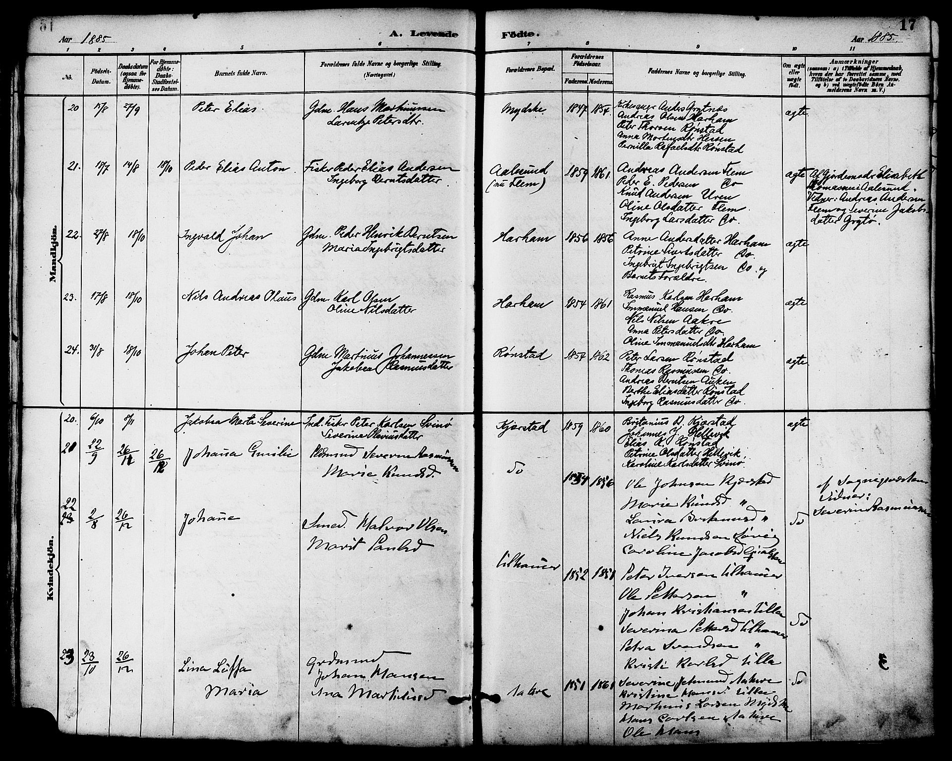 Ministerialprotokoller, klokkerbøker og fødselsregistre - Møre og Romsdal, AV/SAT-A-1454/536/L0501: Parish register (official) no. 536A10, 1884-1896, p. 17