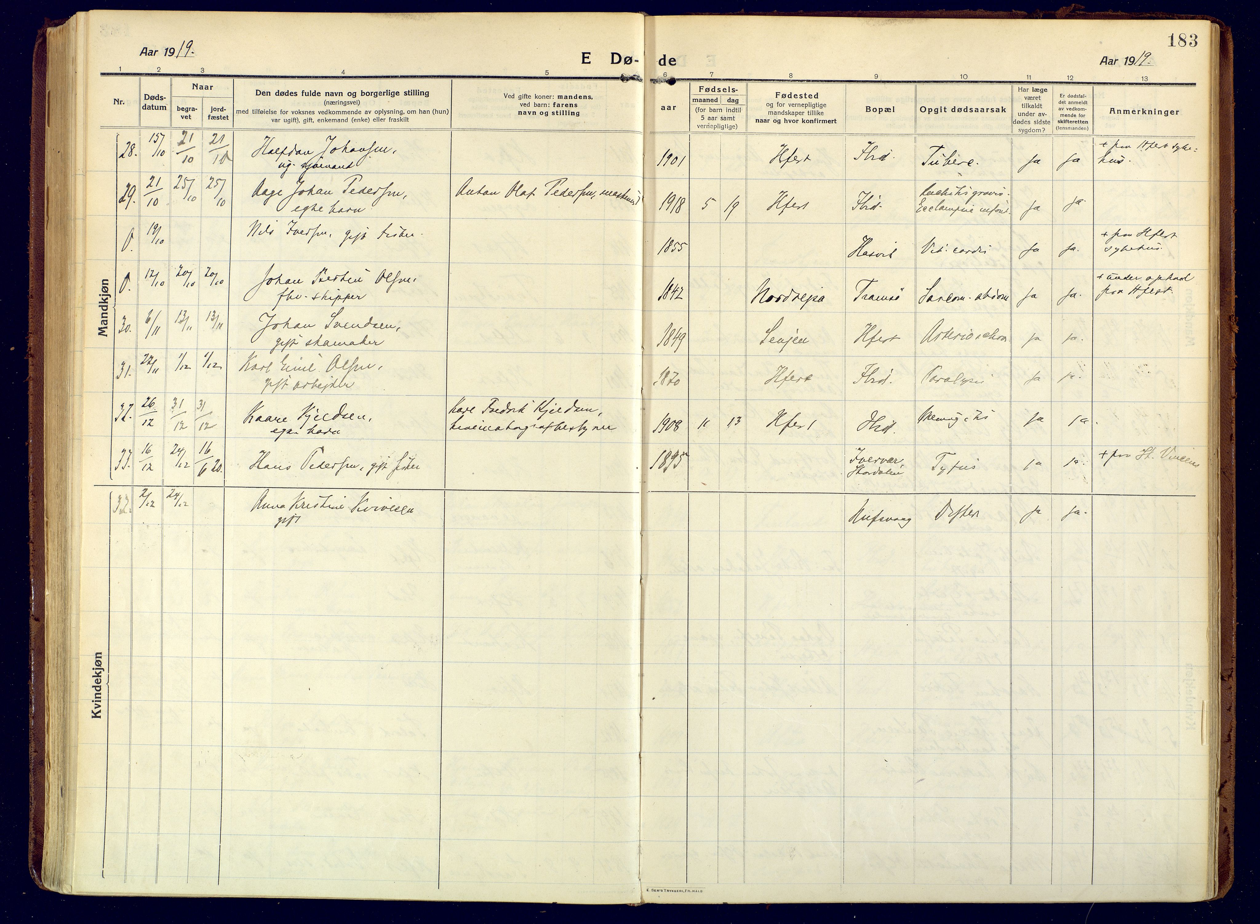 Hammerfest sokneprestkontor, SATØ/S-1347/H/Ha/L0015.kirke: Parish register (official) no. 15, 1916-1923, p. 183