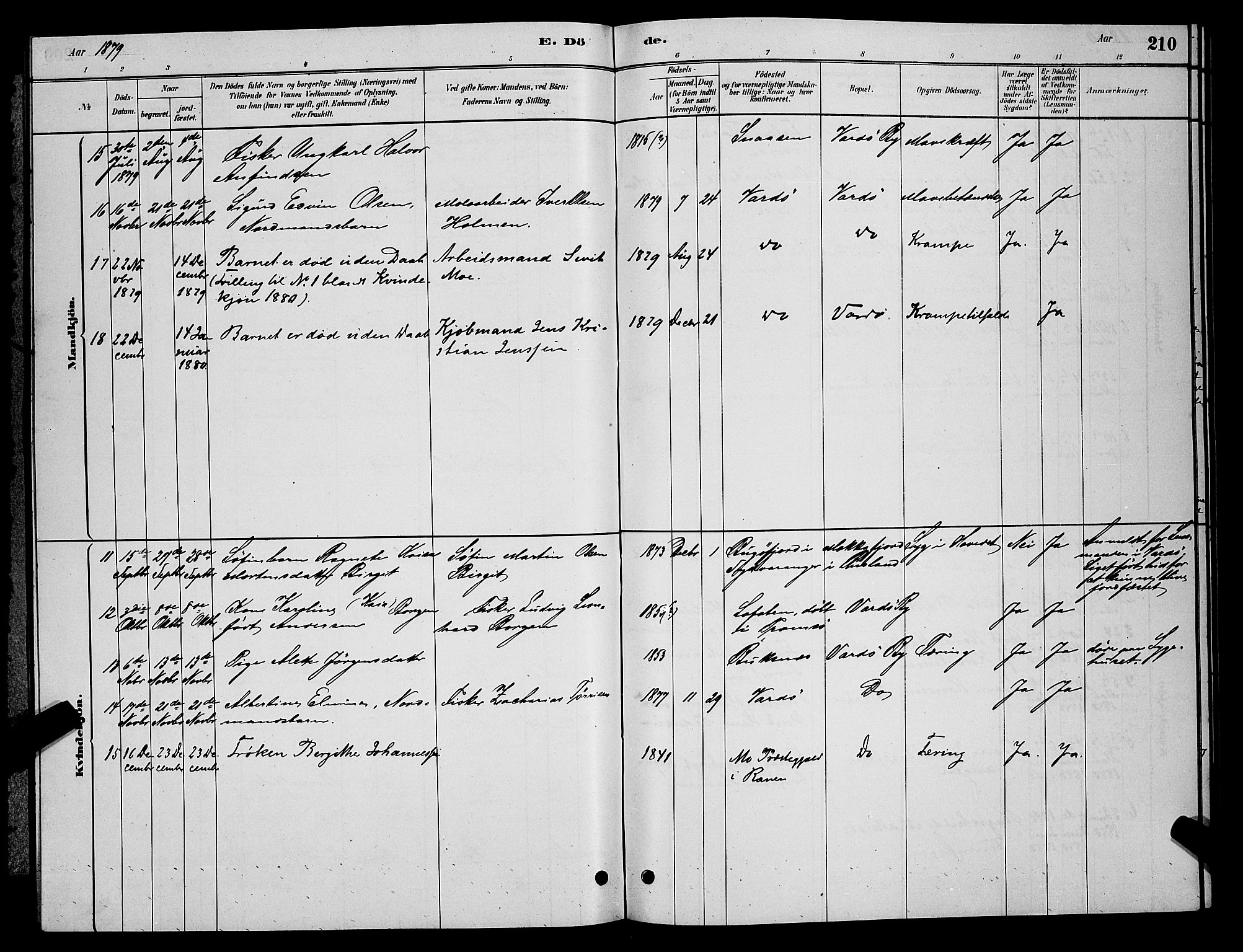 Vardø sokneprestkontor, AV/SATØ-S-1332/H/Hb/L0004klokker: Parish register (copy) no. 4, 1879-1887, p. 210