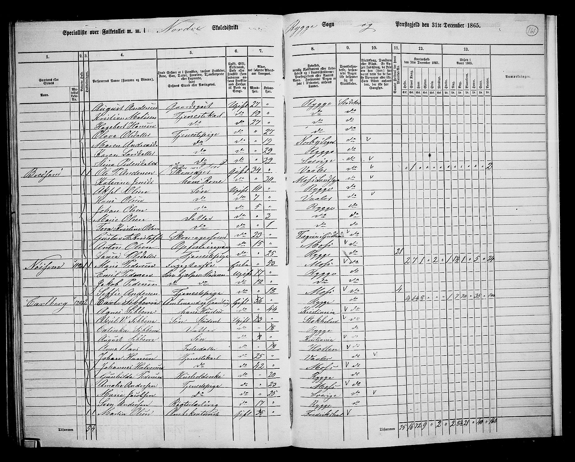 RA, 1865 census for Rygge, 1865, p. 102