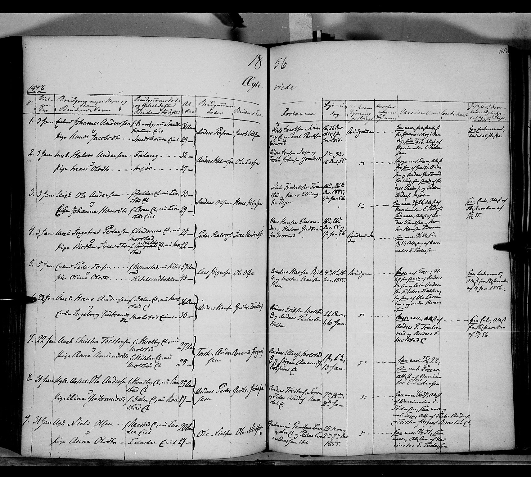 Gran prestekontor, SAH/PREST-112/H/Ha/Haa/L0011: Parish register (official) no. 11, 1842-1856, p. 1012-1013