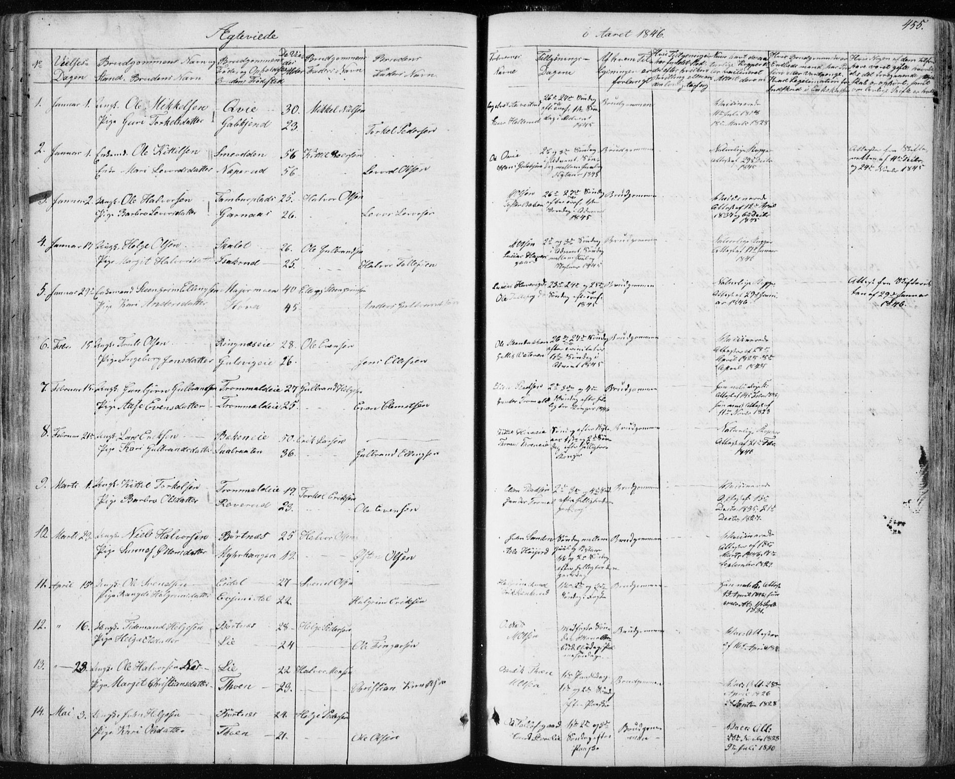 Nes kirkebøker, AV/SAKO-A-236/F/Fa/L0009: Parish register (official) no. 9, 1834-1863, p. 455