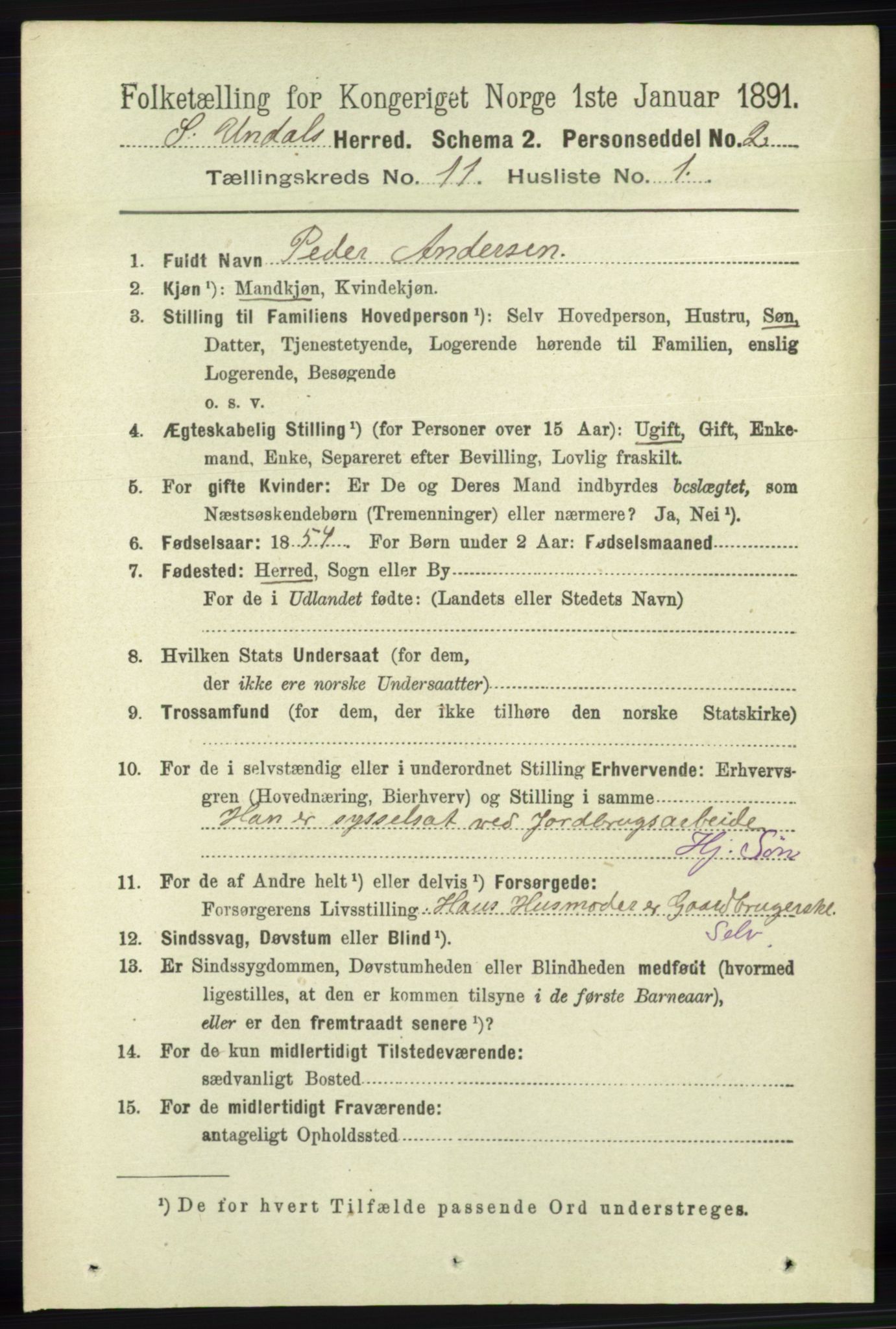 RA, 1891 census for 1029 Sør-Audnedal, 1891, p. 5131