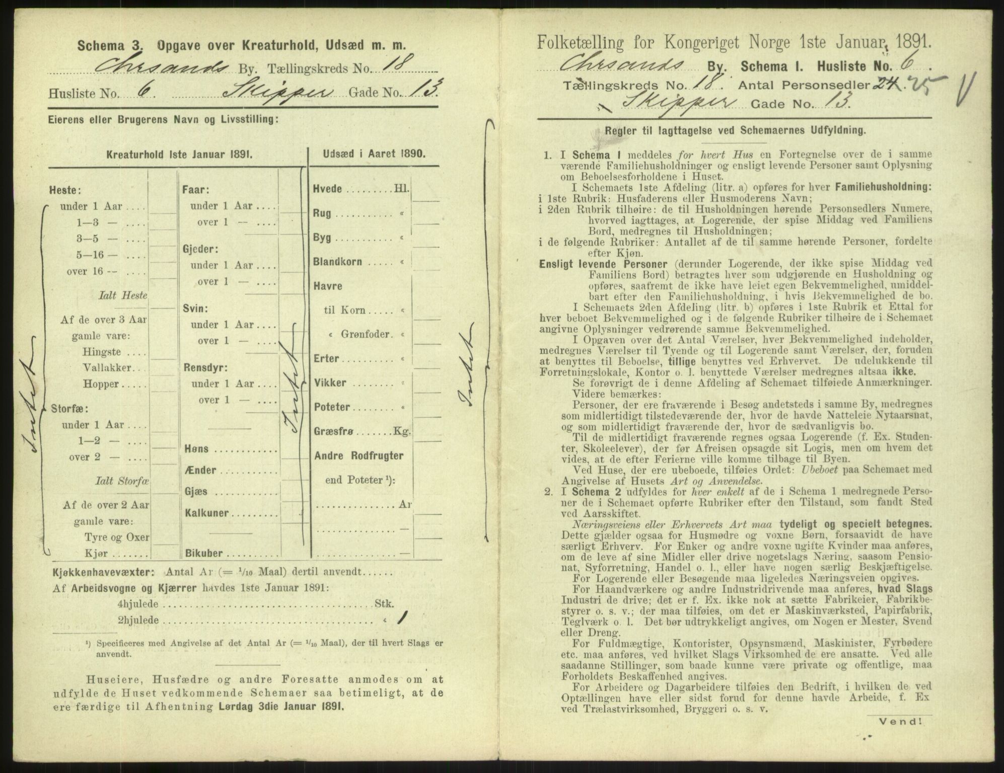 RA, 1891 census for 1001 Kristiansand, 1891, p. 1080