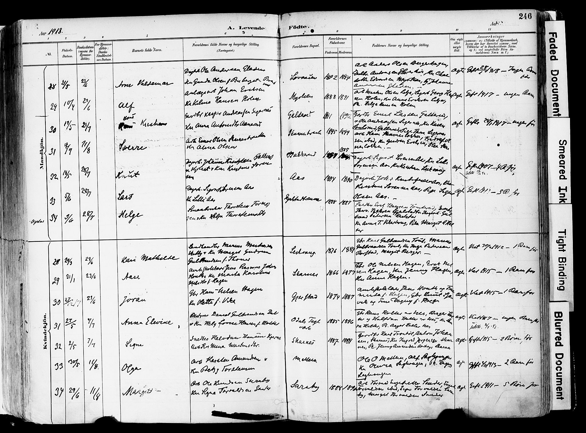 Sør-Odal prestekontor, AV/SAH-PREST-030/H/Ha/Haa/L0006: Parish register (official) no. 6, 1886-1931, p. 246