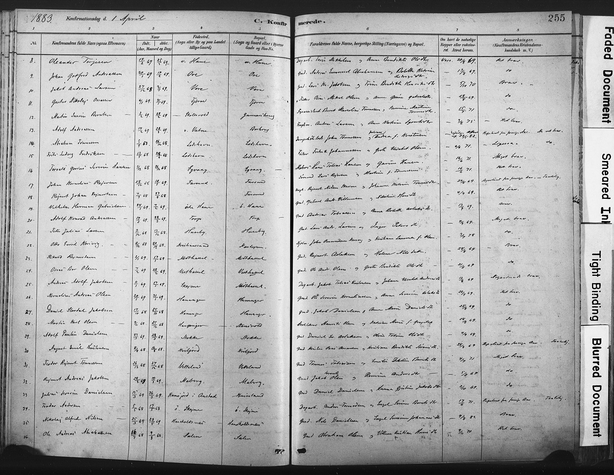 Lista sokneprestkontor, AV/SAK-1111-0027/F/Fa/L0012: Parish register (official) no. A 12, 1879-1903, p. 255