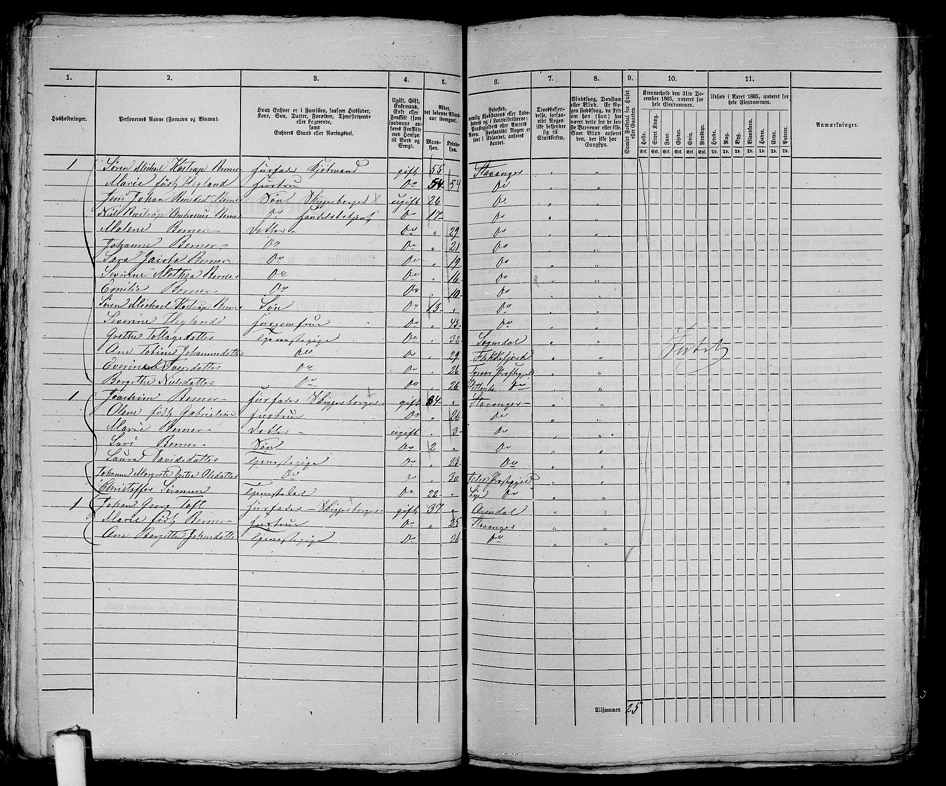 RA, 1865 census for Stavanger, 1865, p. 115