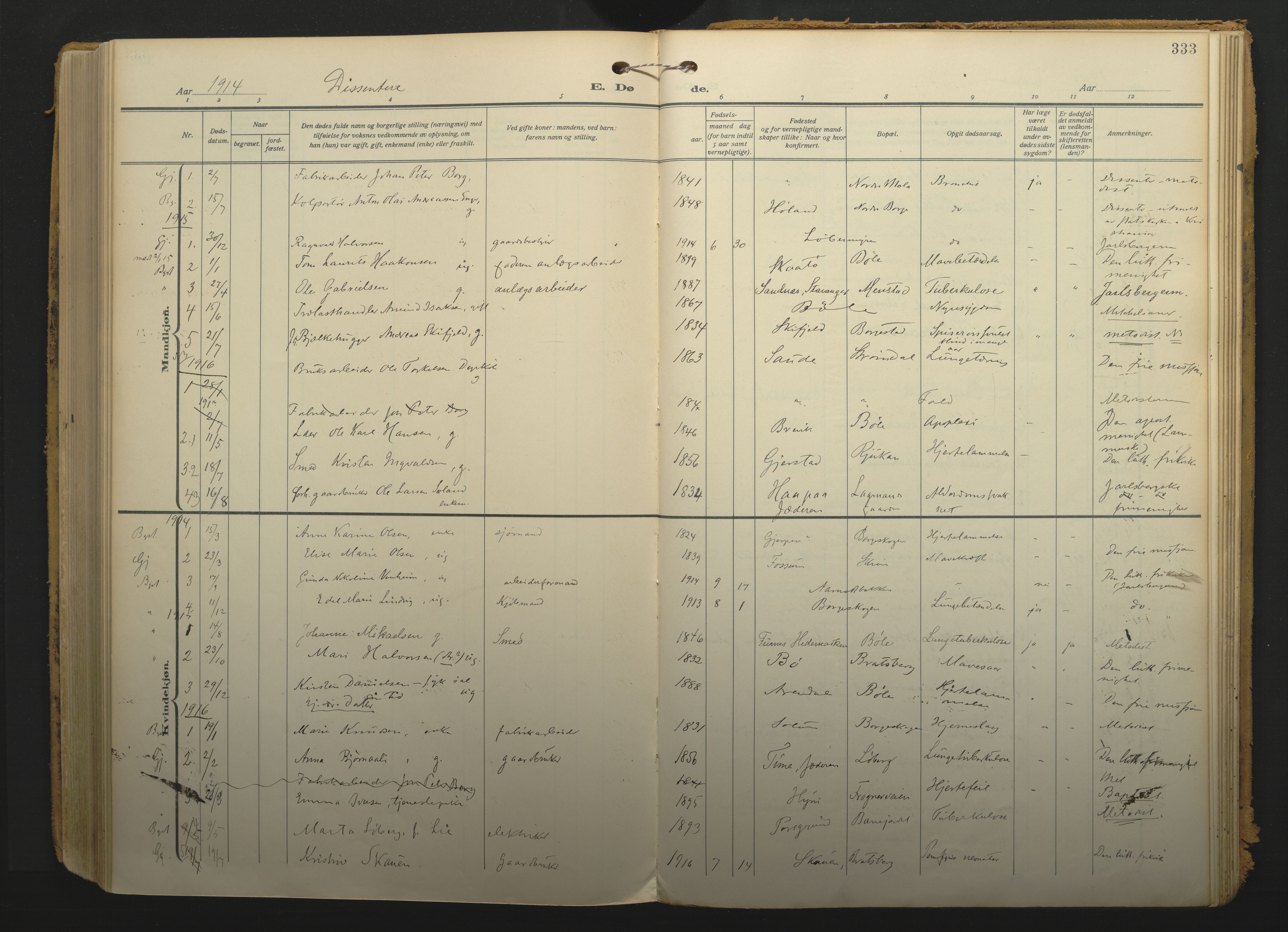Gjerpen kirkebøker, SAKO/A-265/F/Fa/L0013: Parish register (official) no. I 13, 1914-1924, p. 333