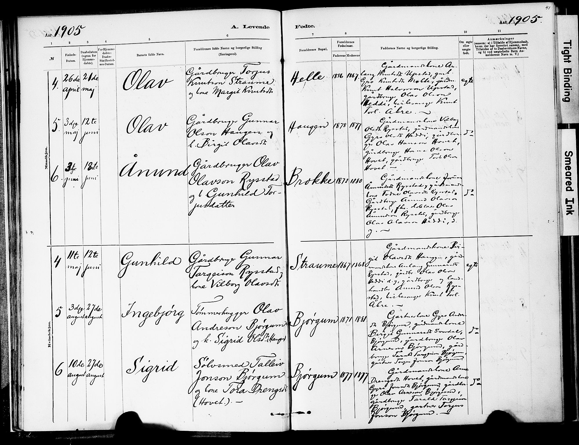 Valle sokneprestkontor, SAK/1111-0044/F/Fa/Fab/L0001: Parish register (official) no. A 1, 1882-1910, p. 41