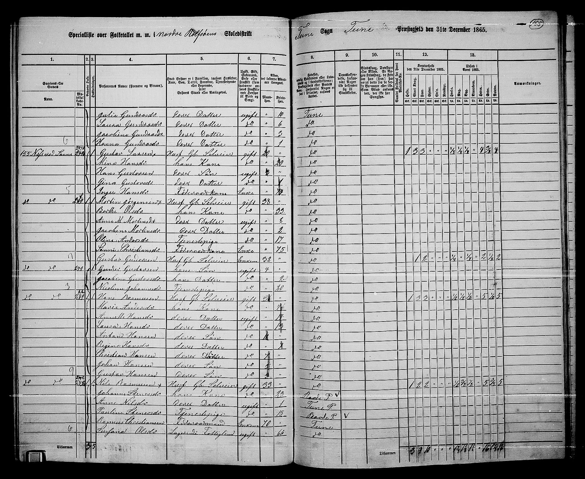 RA, 1865 census for Tune, 1865, p. 234