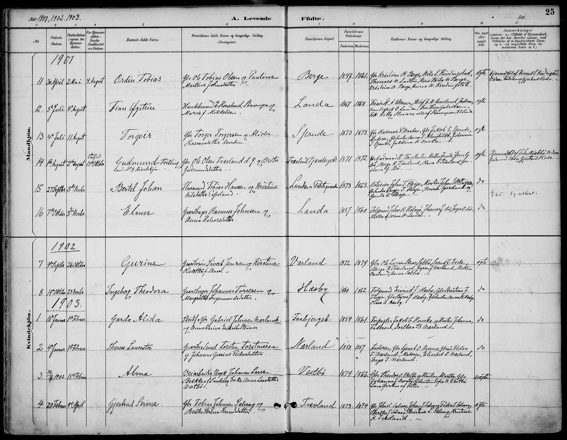 Finnøy sokneprestkontor, SAST/A-101825/H/Ha/Haa/L0011: Parish register (official) no. A 11, 1891-1910, p. 25