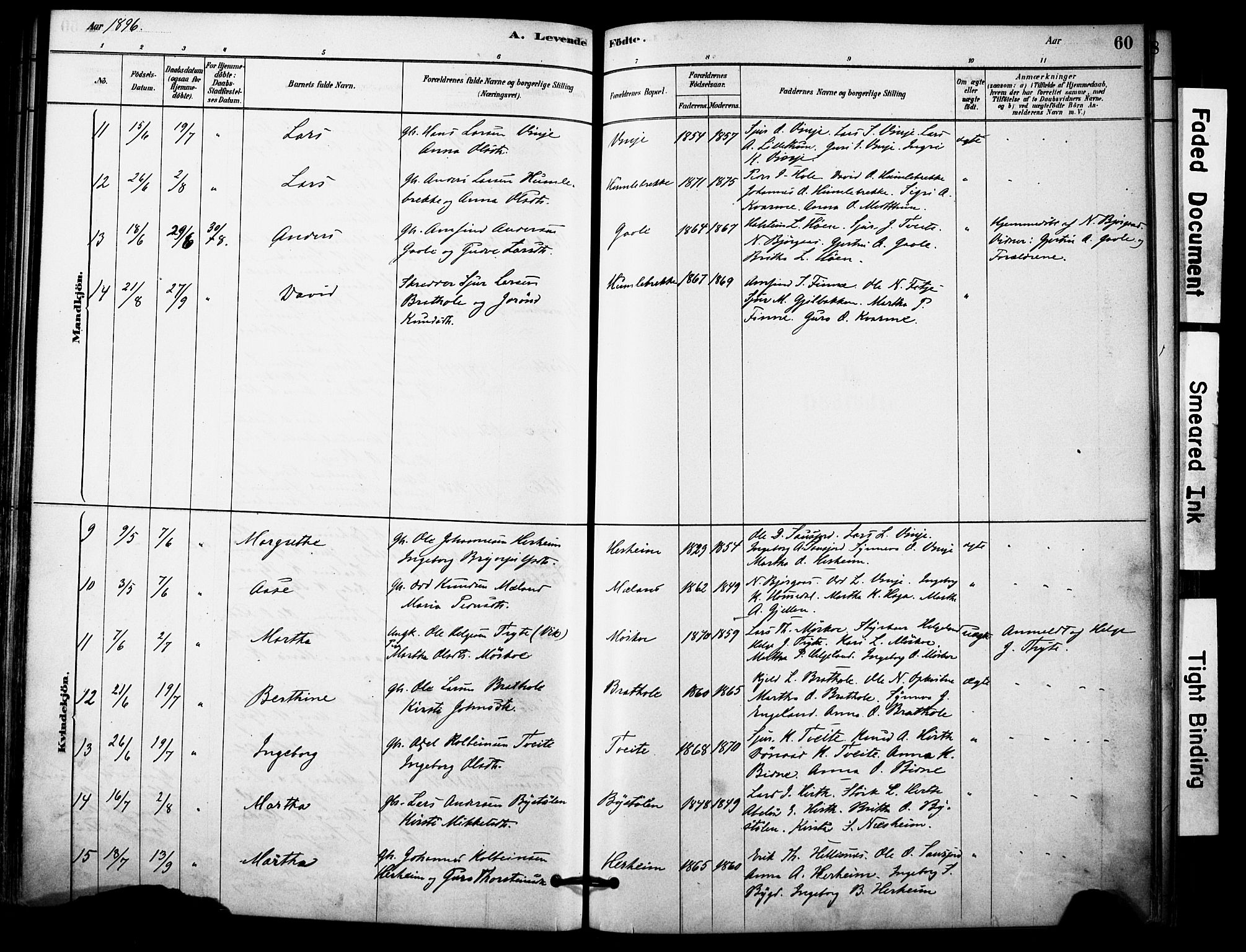 Vossestrand Sokneprestembete, AV/SAB-A-79101/H/Haa: Parish register (official) no. C 1, 1878-1903, p. 60