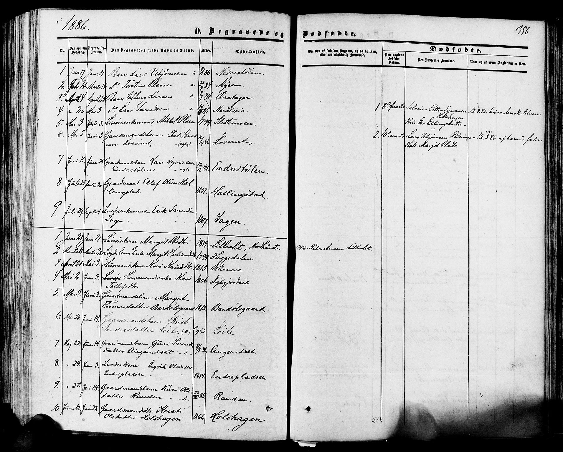 Hol kirkebøker, SAKO/A-227/F/Fa/L0002: Parish register (official) no. I 2, 1870-1886, p. 356