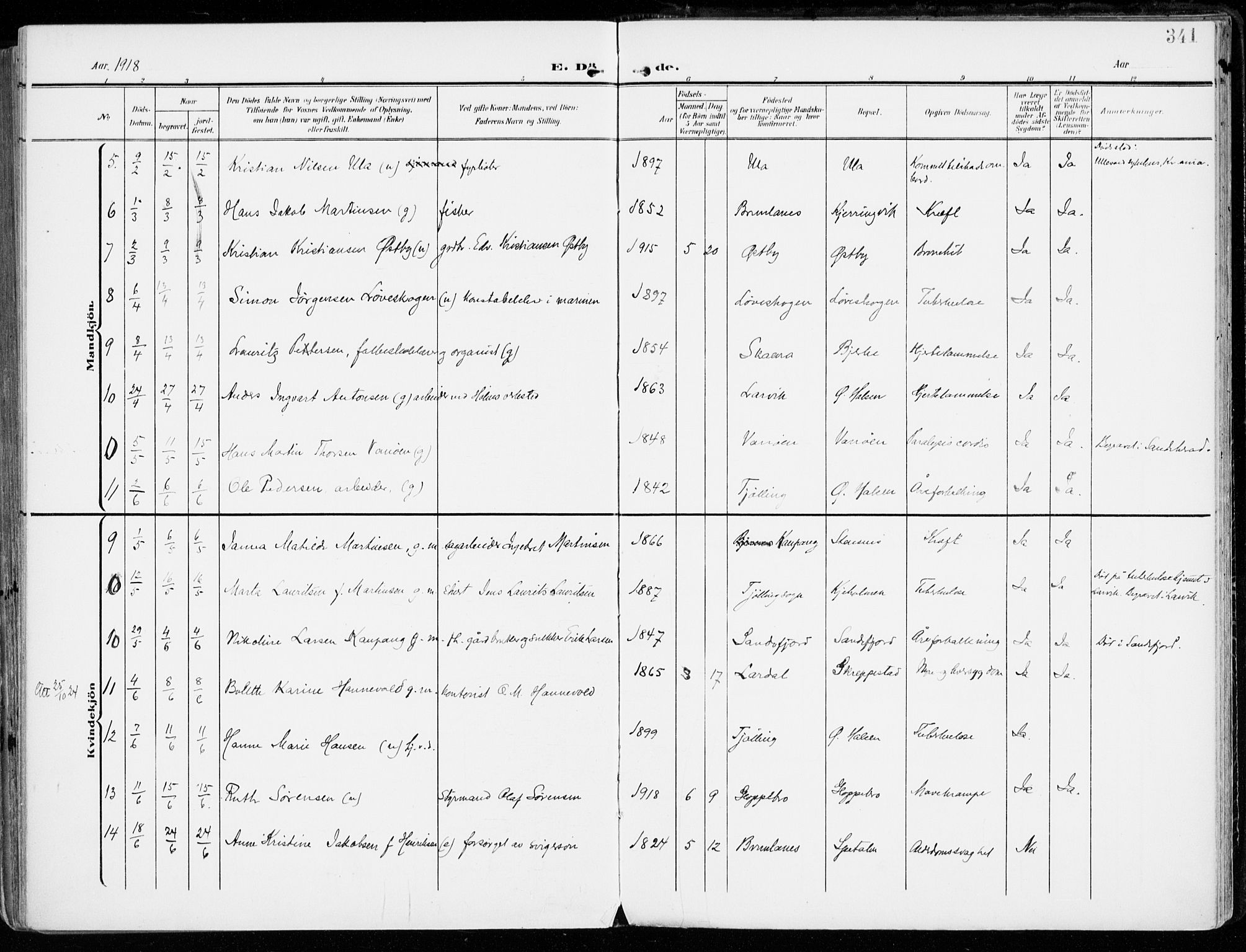 Tjølling kirkebøker, AV/SAKO-A-60/F/Fa/L0010: Parish register (official) no. 10, 1906-1923, p. 341