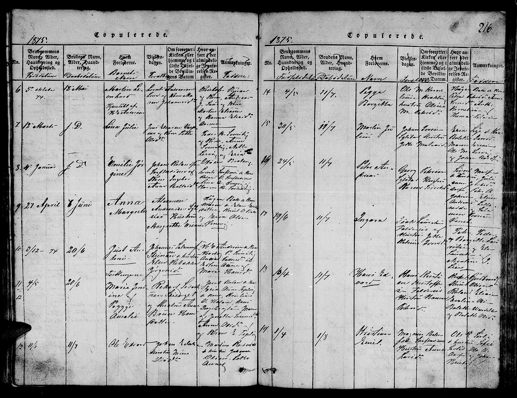 Ministerialprotokoller, klokkerbøker og fødselsregistre - Nord-Trøndelag, SAT/A-1458/780/L0648: Parish register (copy) no. 780C01 /3, 1815-1877, p. 216
