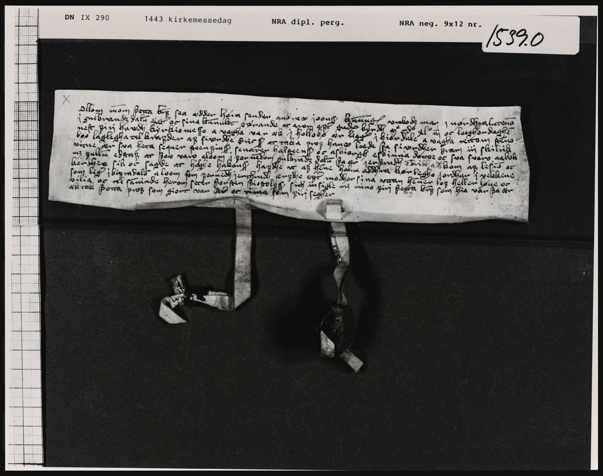 Riksarkivets diplomsamling, AV/RA-EA-5965/F01, 1333-1571, p. 3819